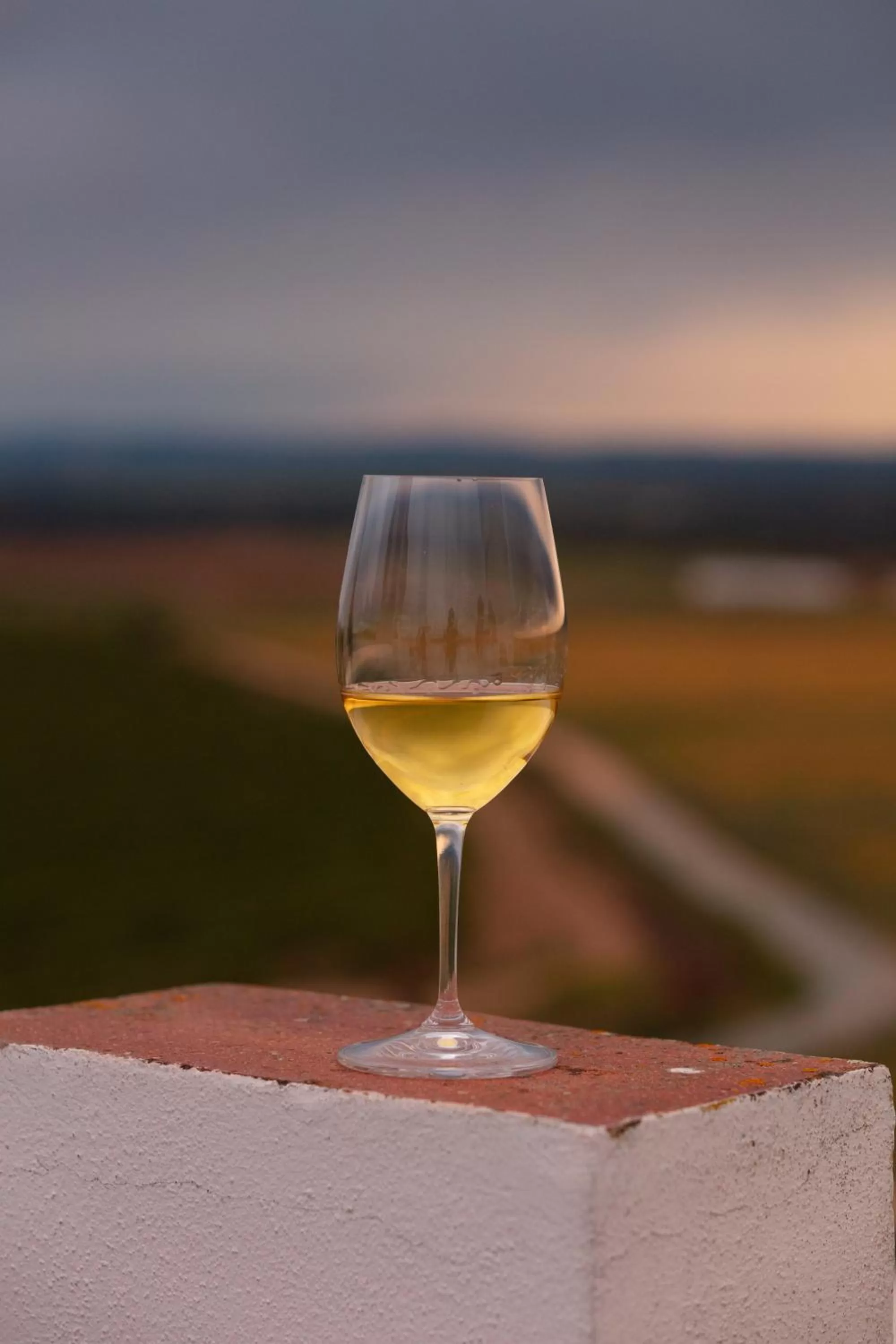 Sunset in Torre de Palma Wine Hotel, Monforte, a Member of Design Hotels