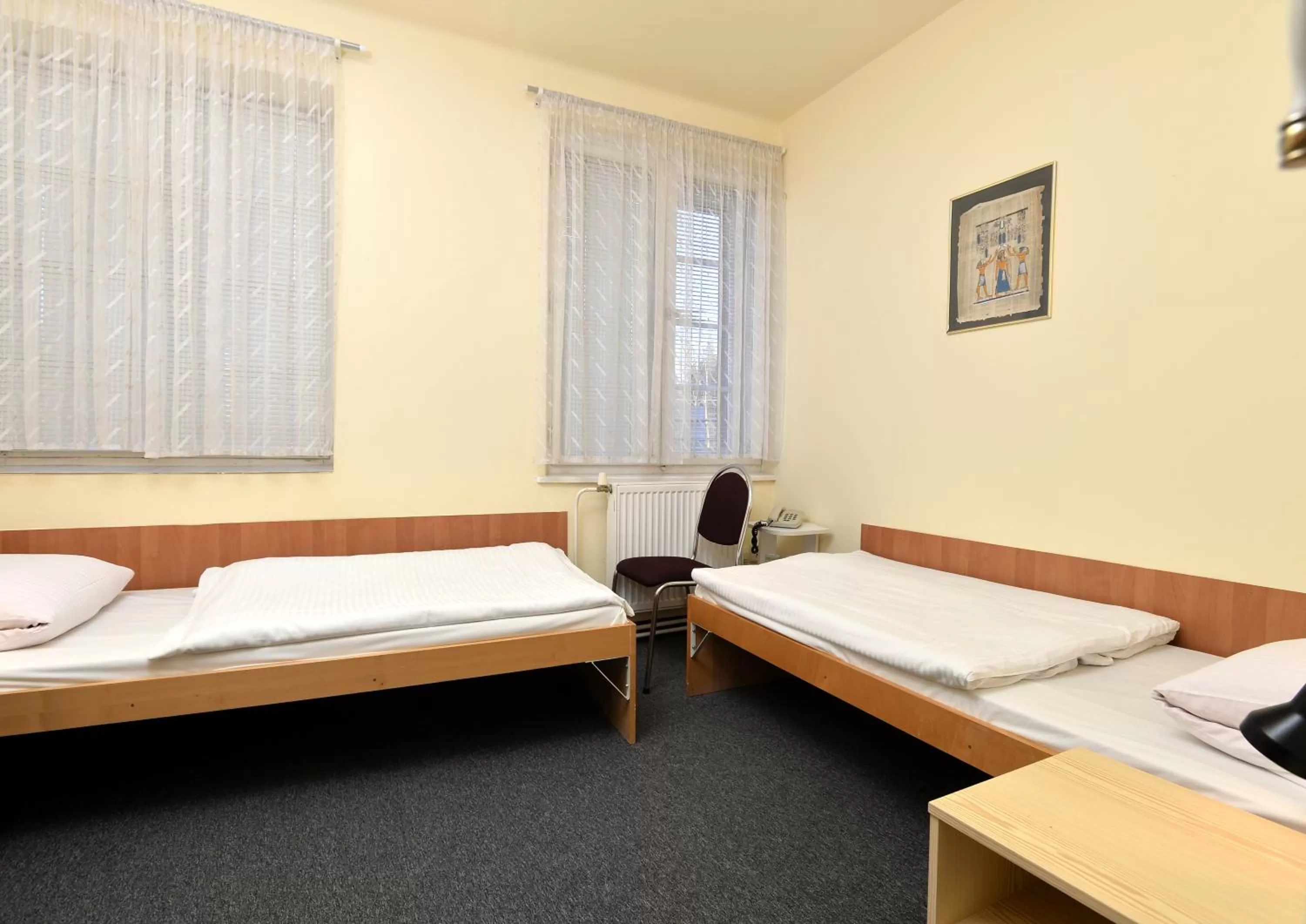 Twin Room with Bathroom in Hotel U Jezírka