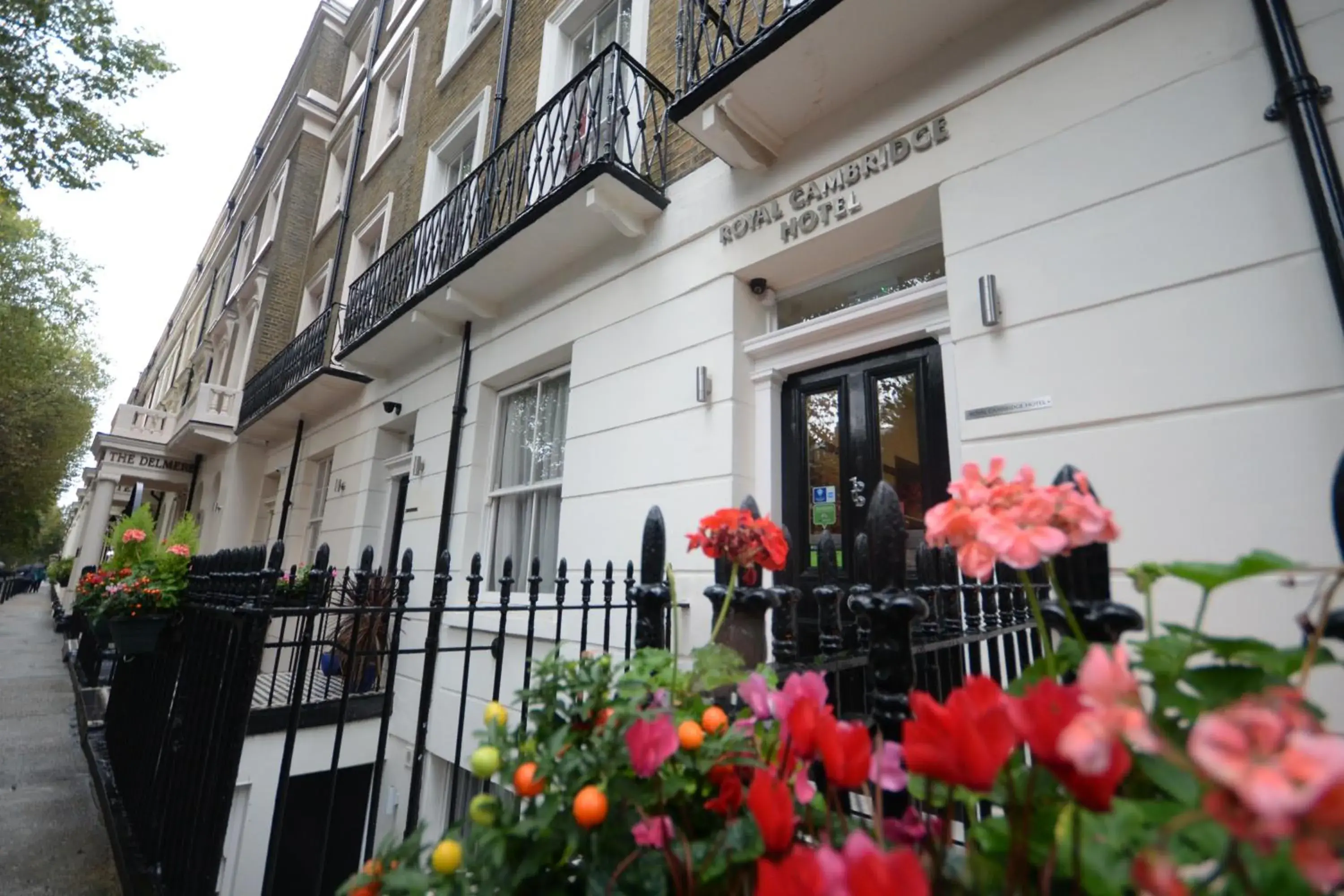 Royal Cambridge Hotel Royal Cambridge Hotel