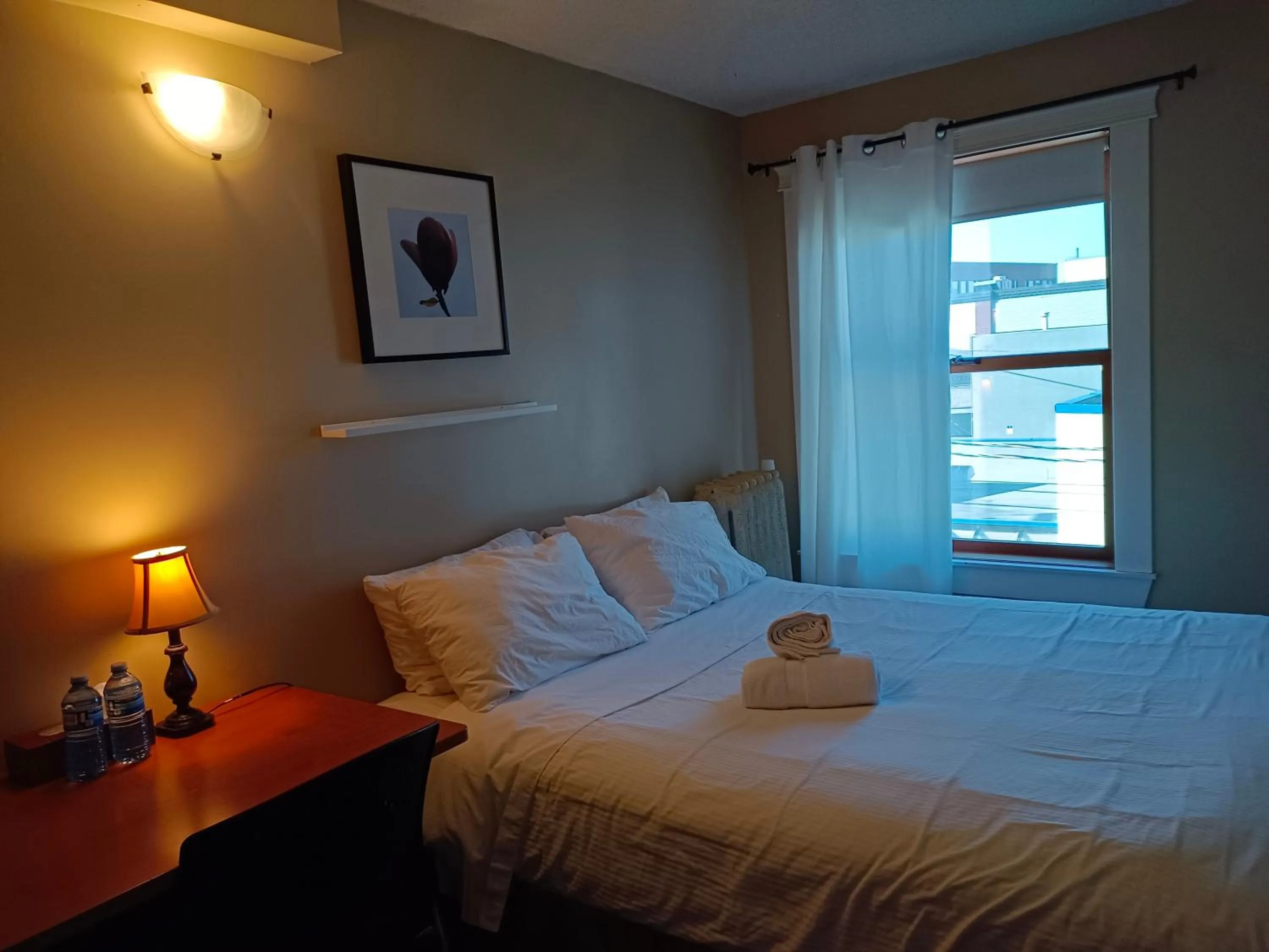 Bed in Painted Turtle Guesthouse