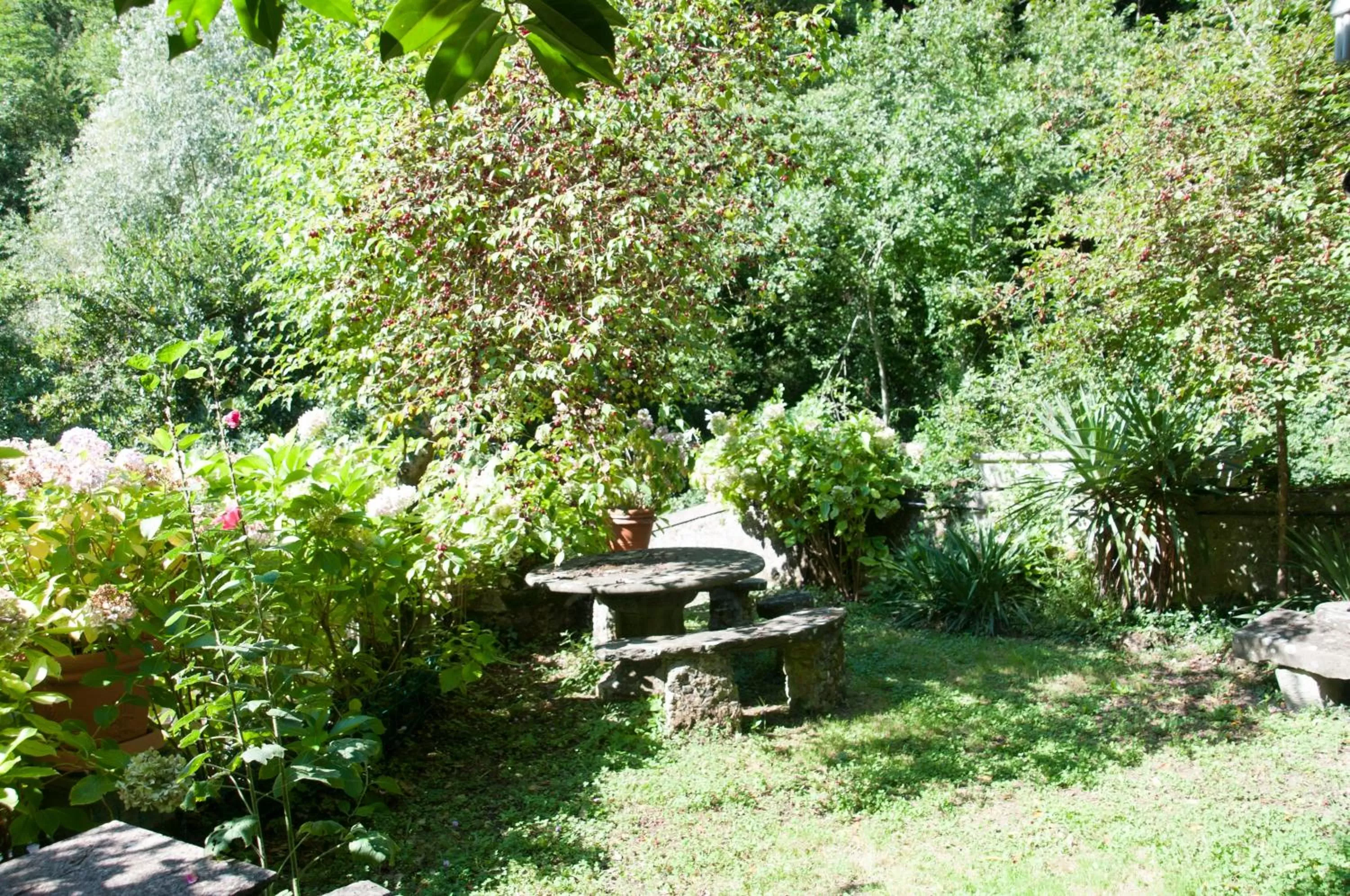 Time of day, Garden in Tre Fiumi