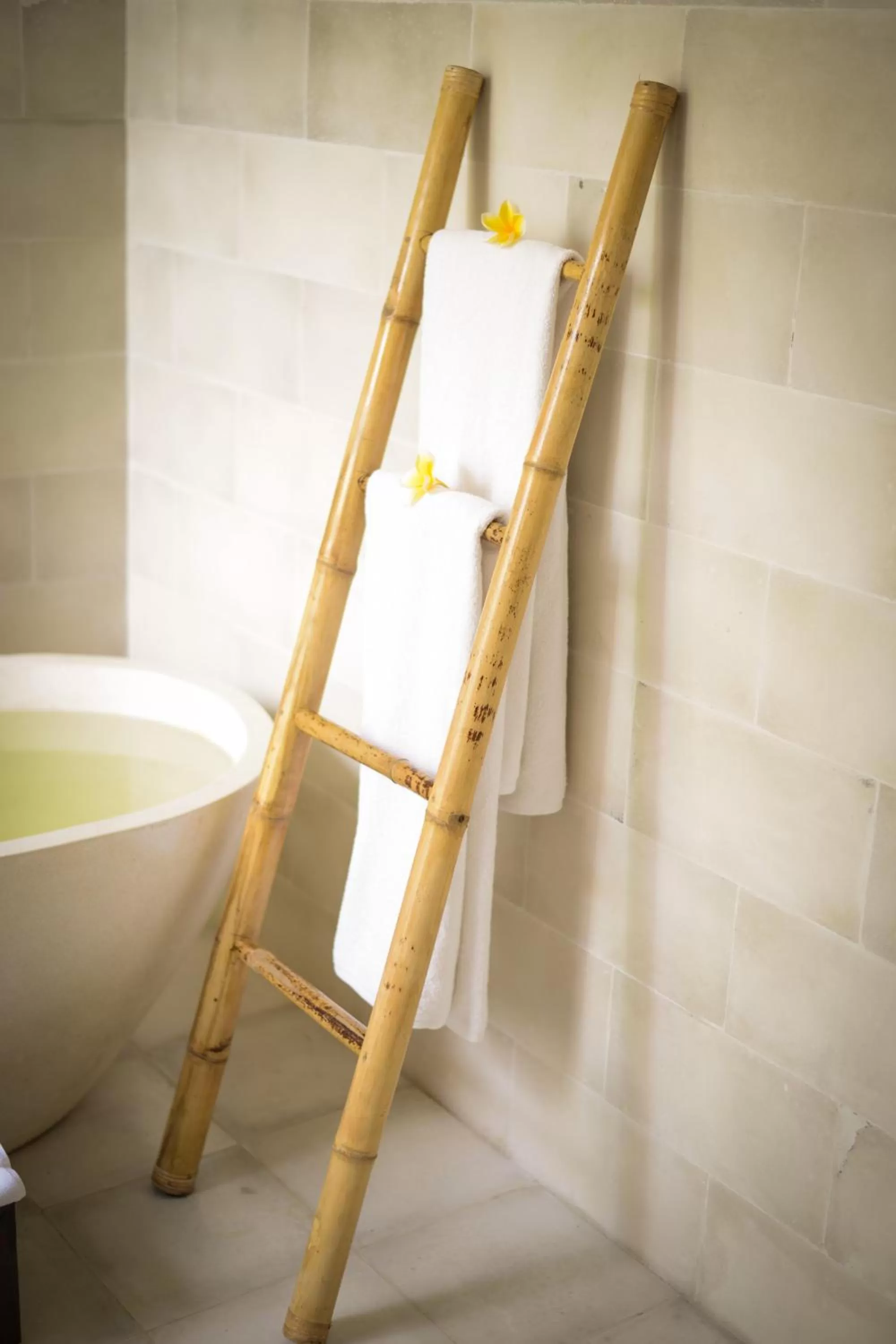 Decorative detail in Purana Boutique Resort