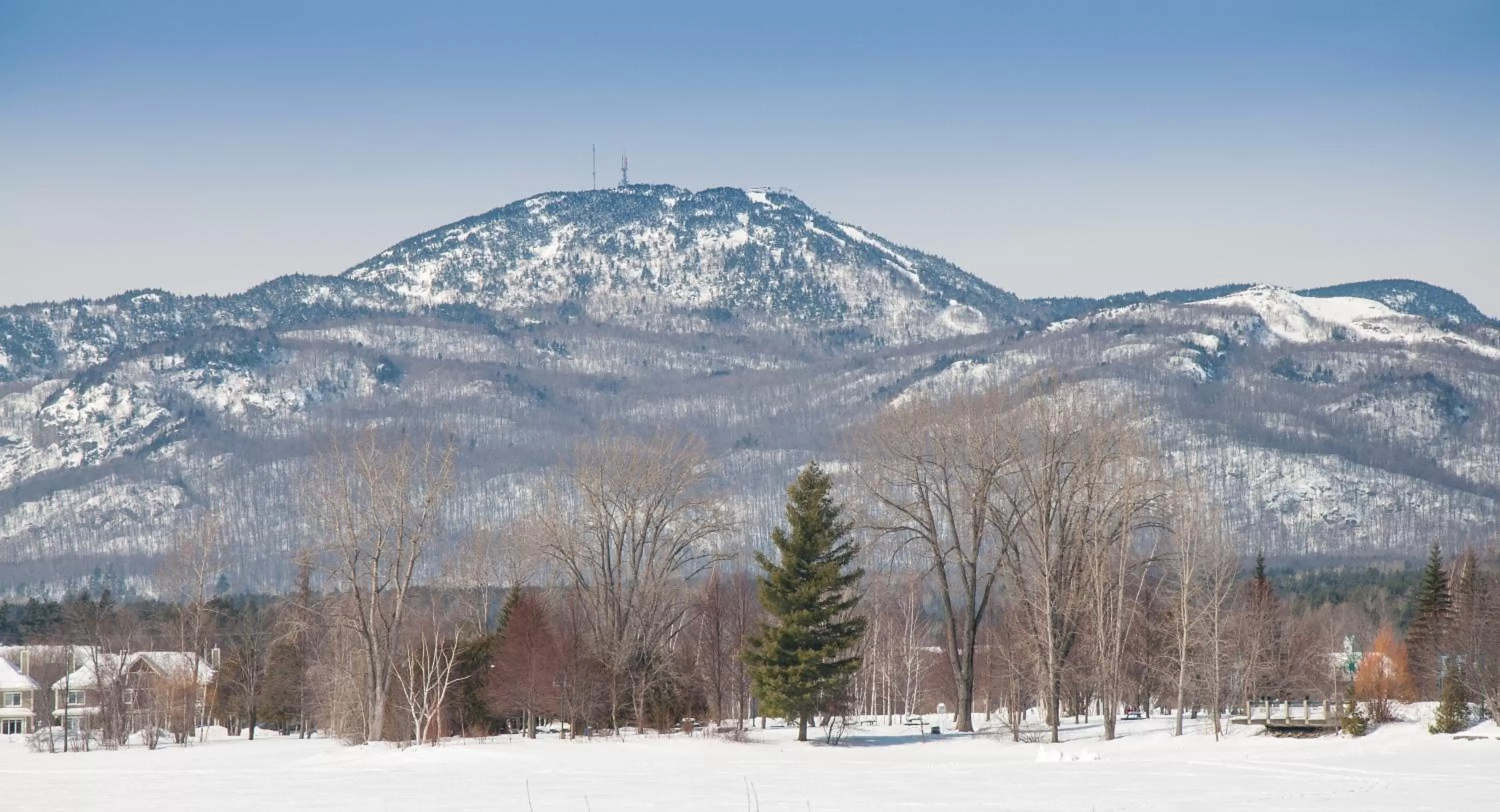 Property building in À Amour et Amitié