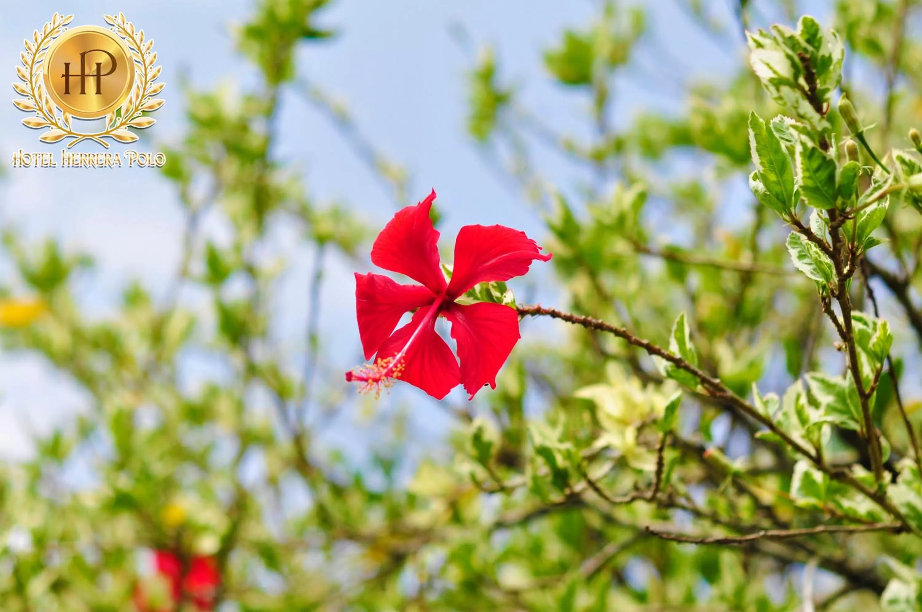 Natural landscape in Hotel Herrera Polo