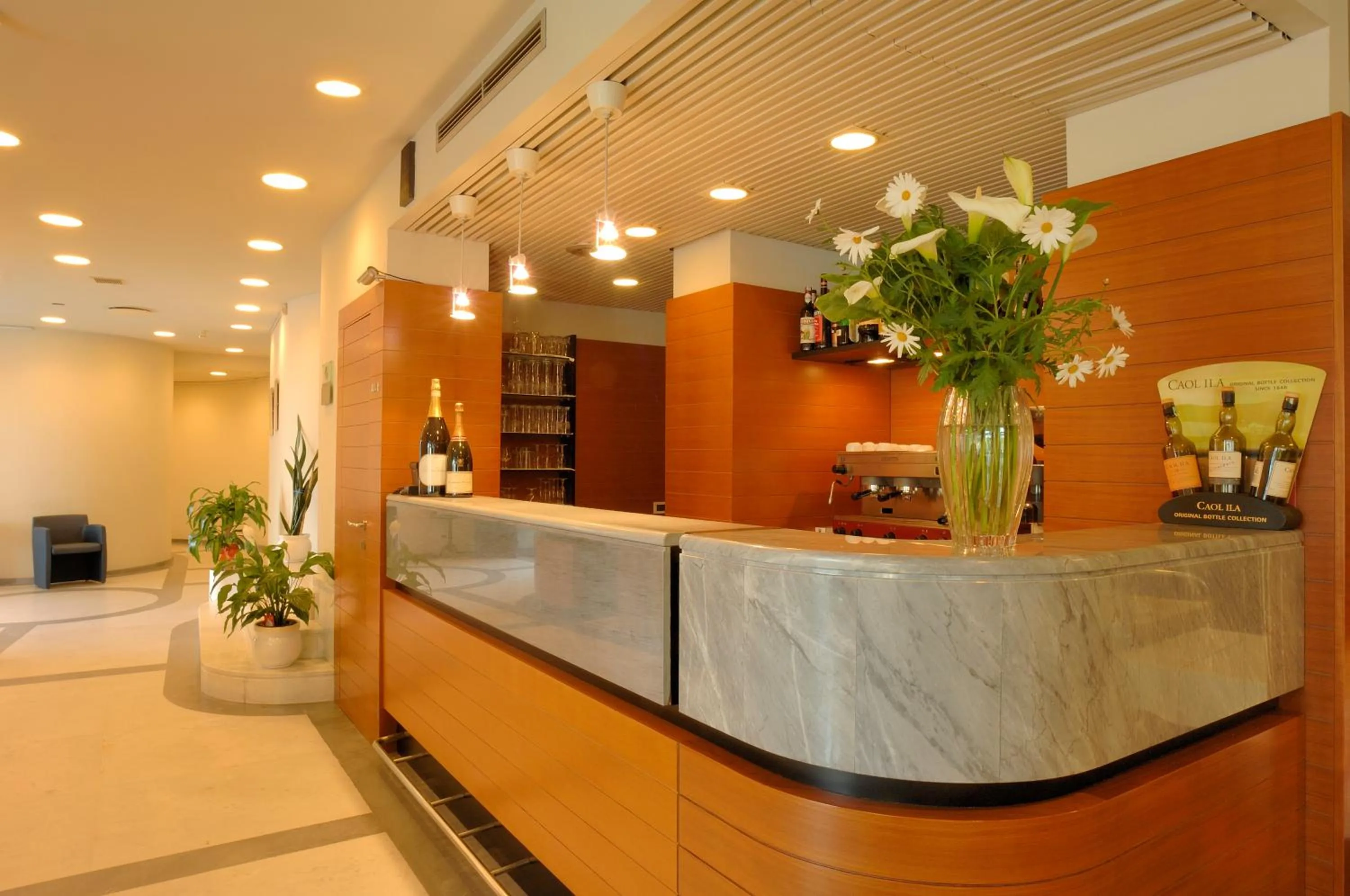 Lounge or bar in Hotel Le Roi