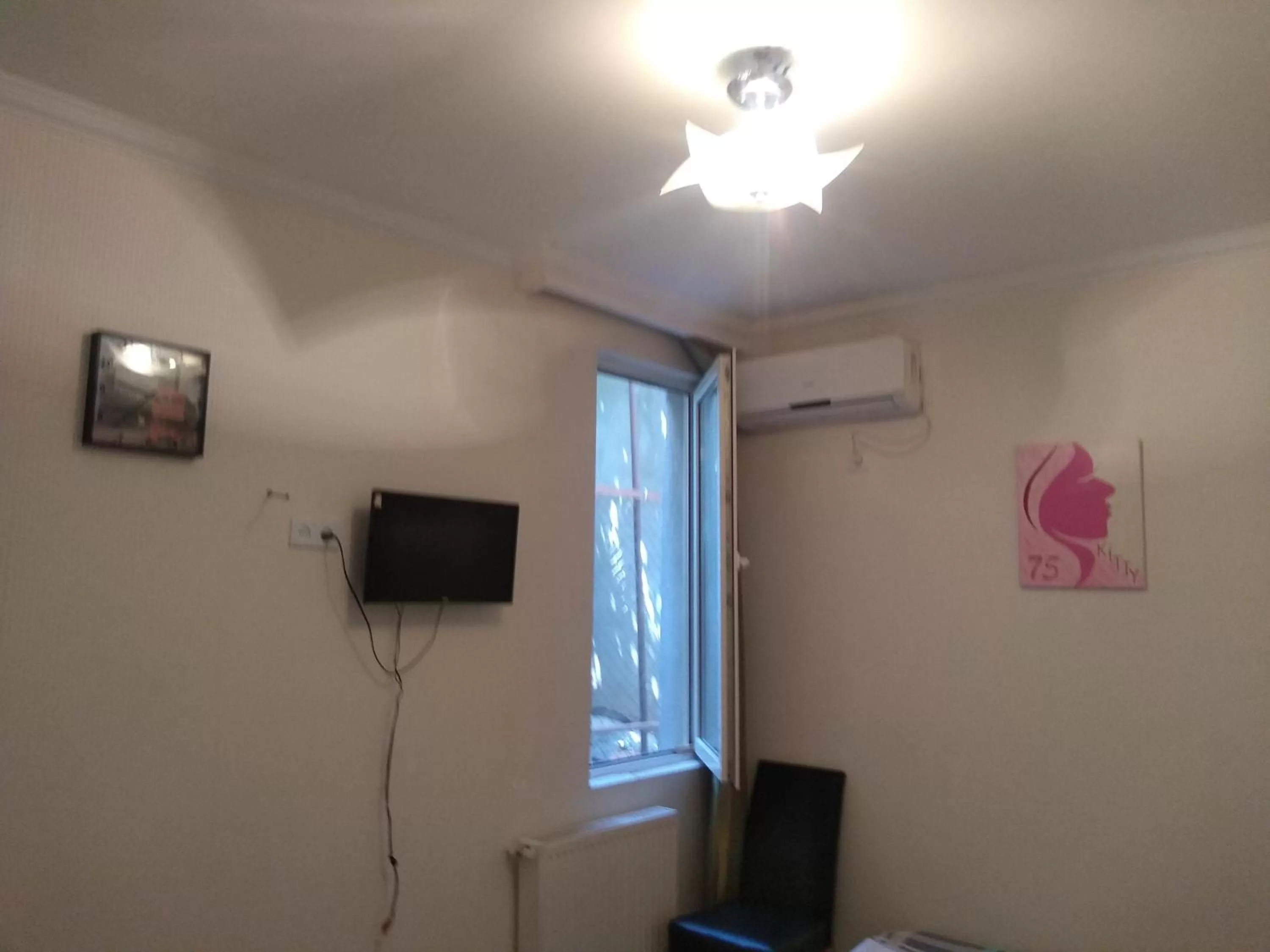 TV/Entertainment Center in Old Capital