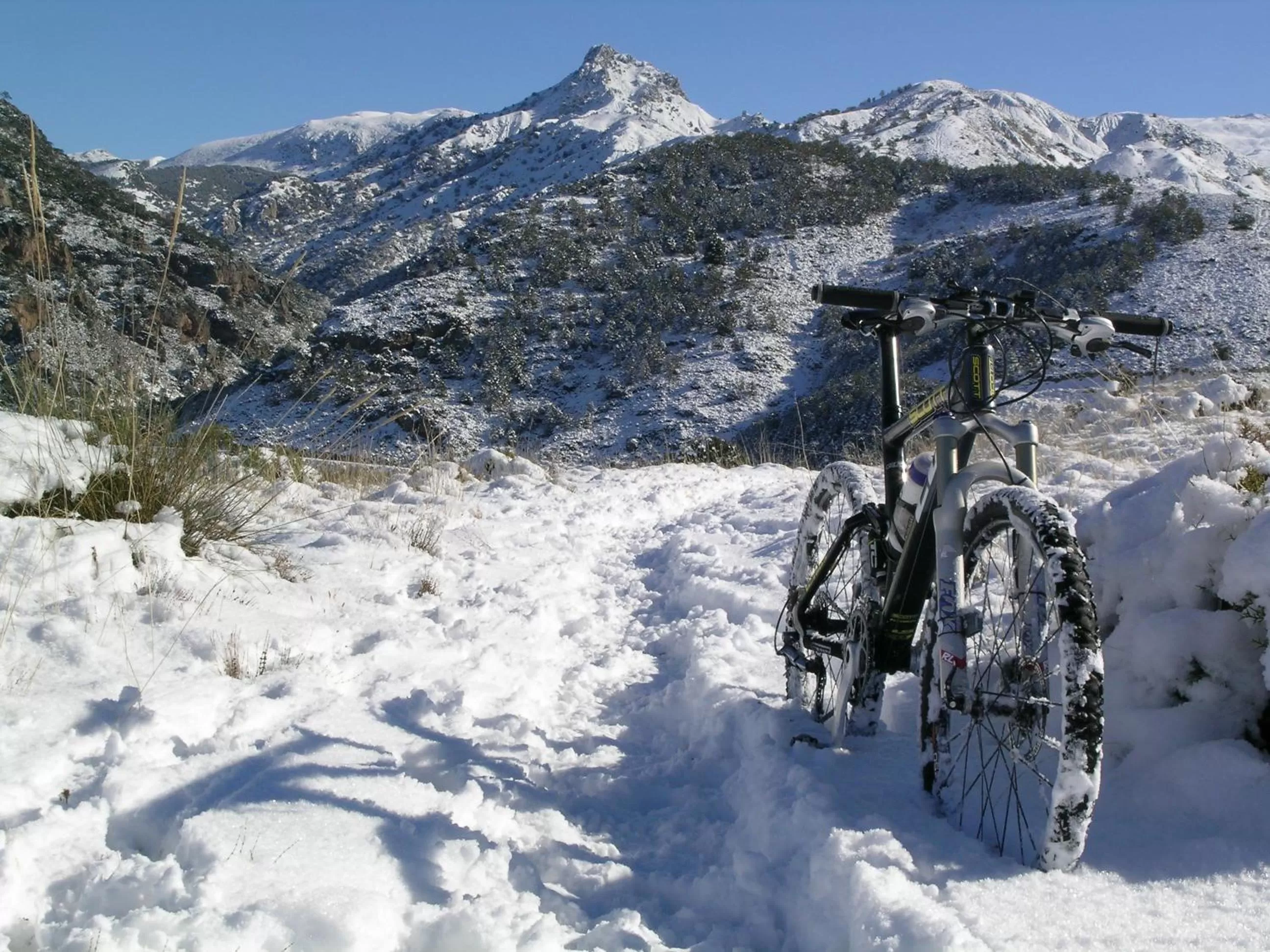Cycling in Hotel Rural Huerta del Laurel