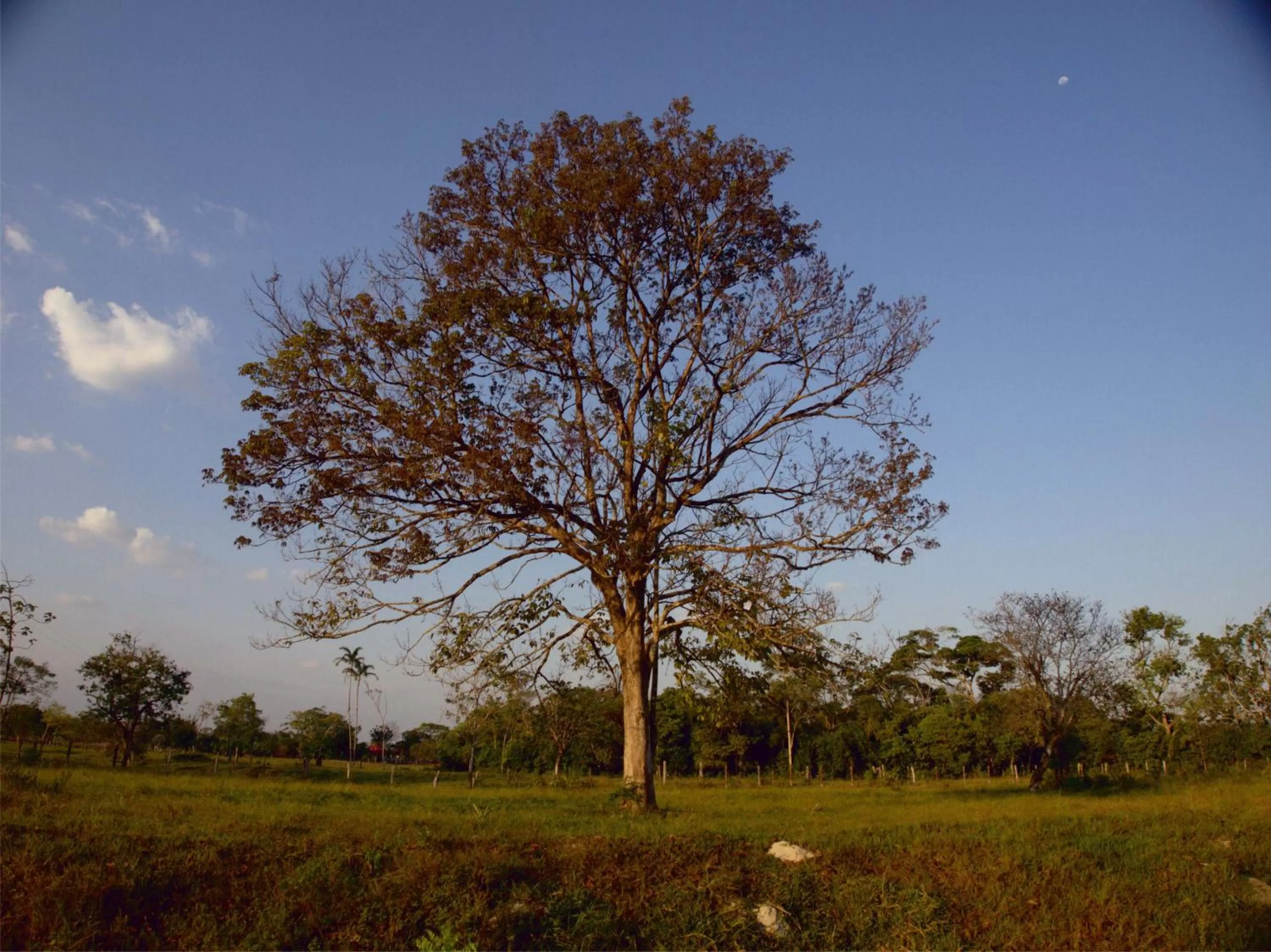 Garden in Hotel Rio Humadea