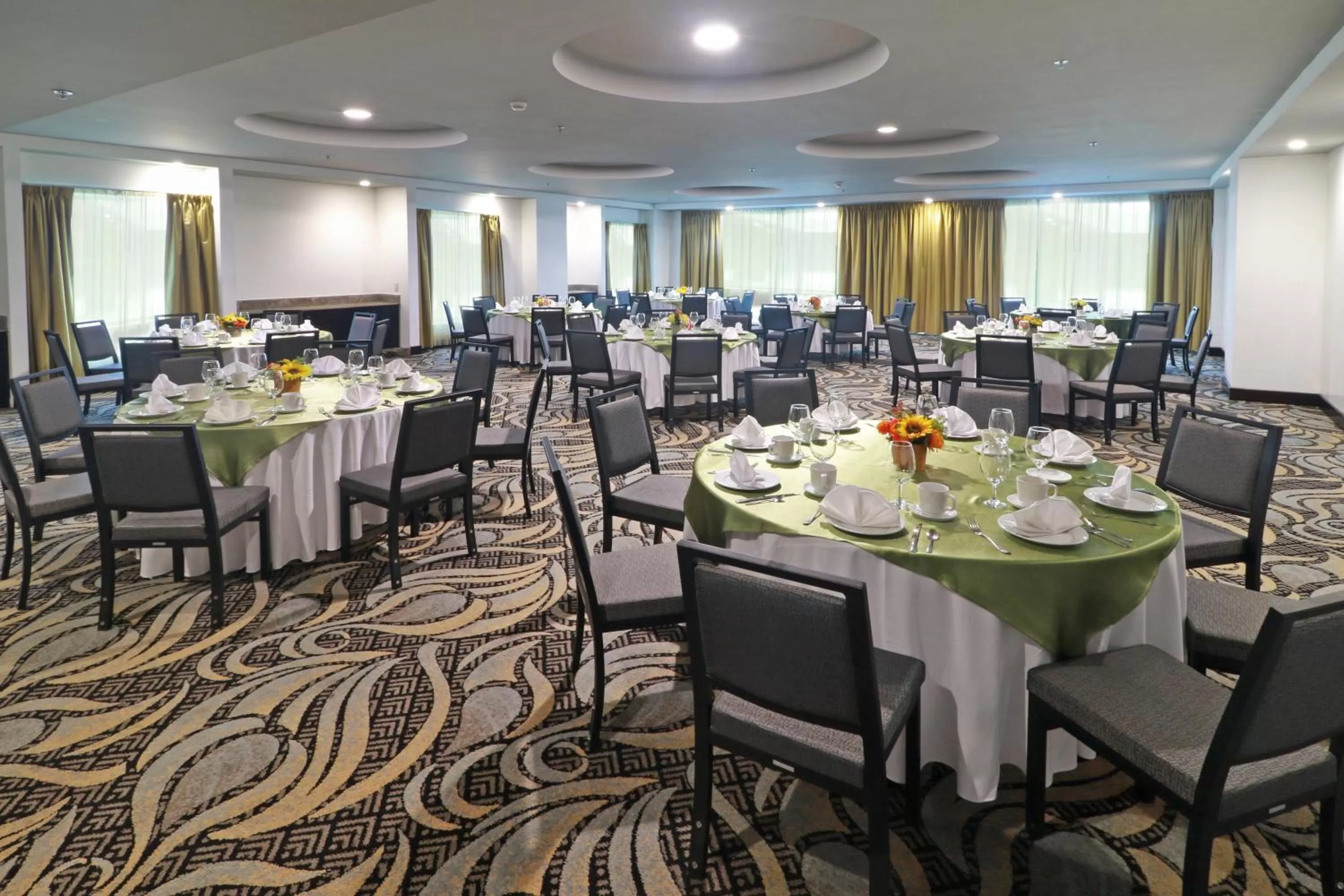 Banquet/Function facilities in Holiday Inn Queretaro Zona Krystal by IHG