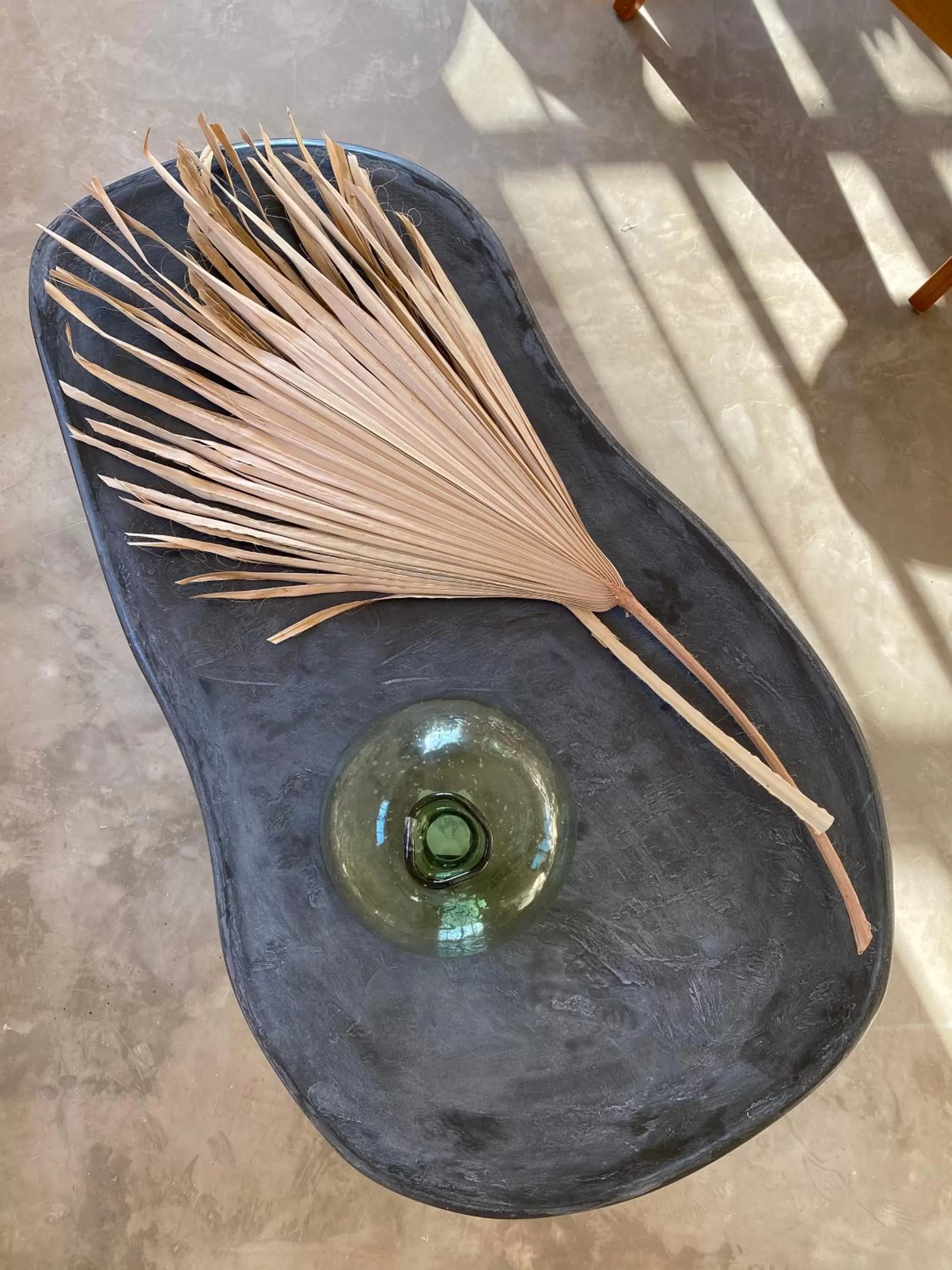 Other Animals in Casa Bo