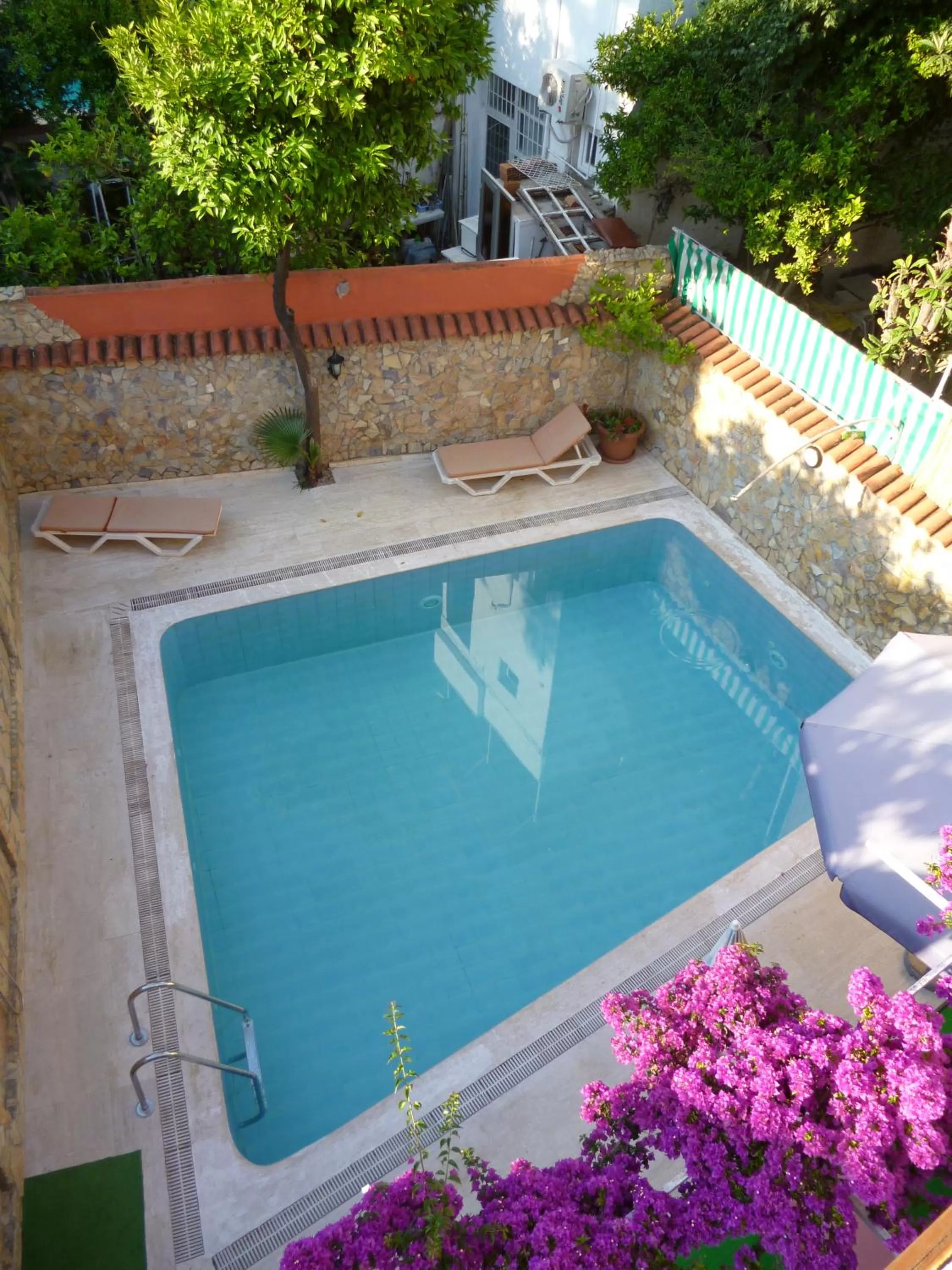 Pool view in Frankfurt Hotel