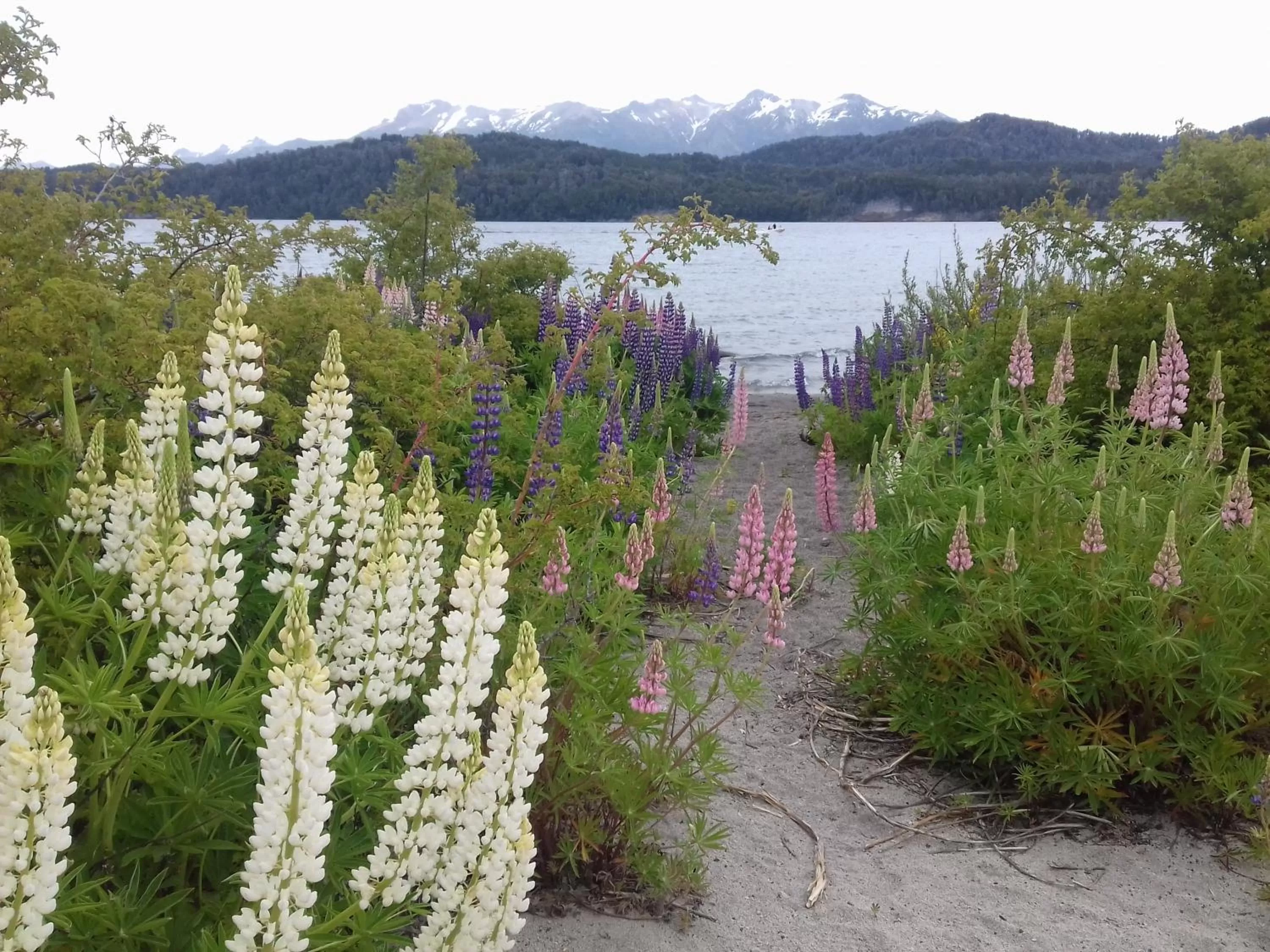 Natural landscape in Hosteria Lekun Lekun