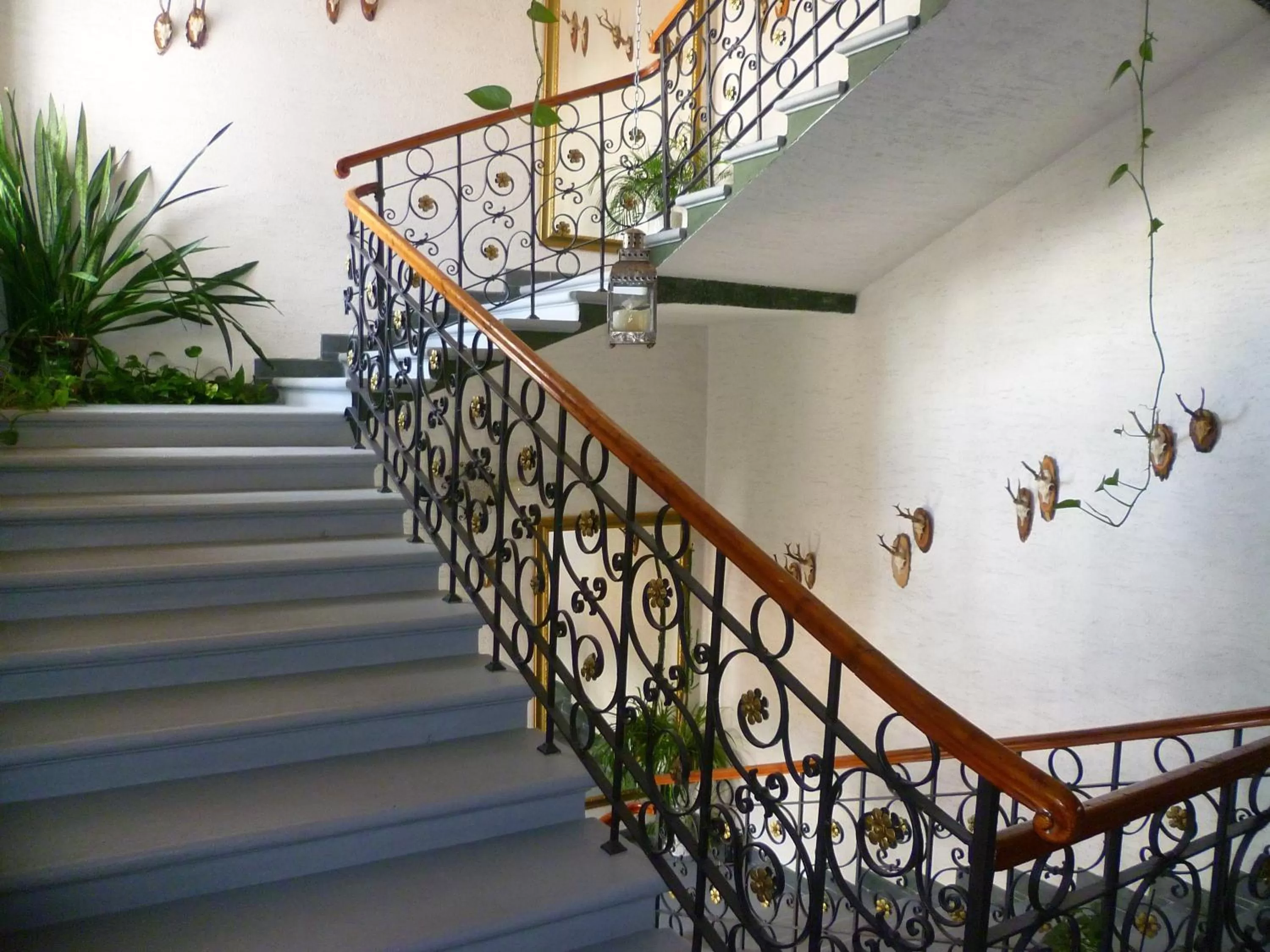 Other in Hotel Koruna