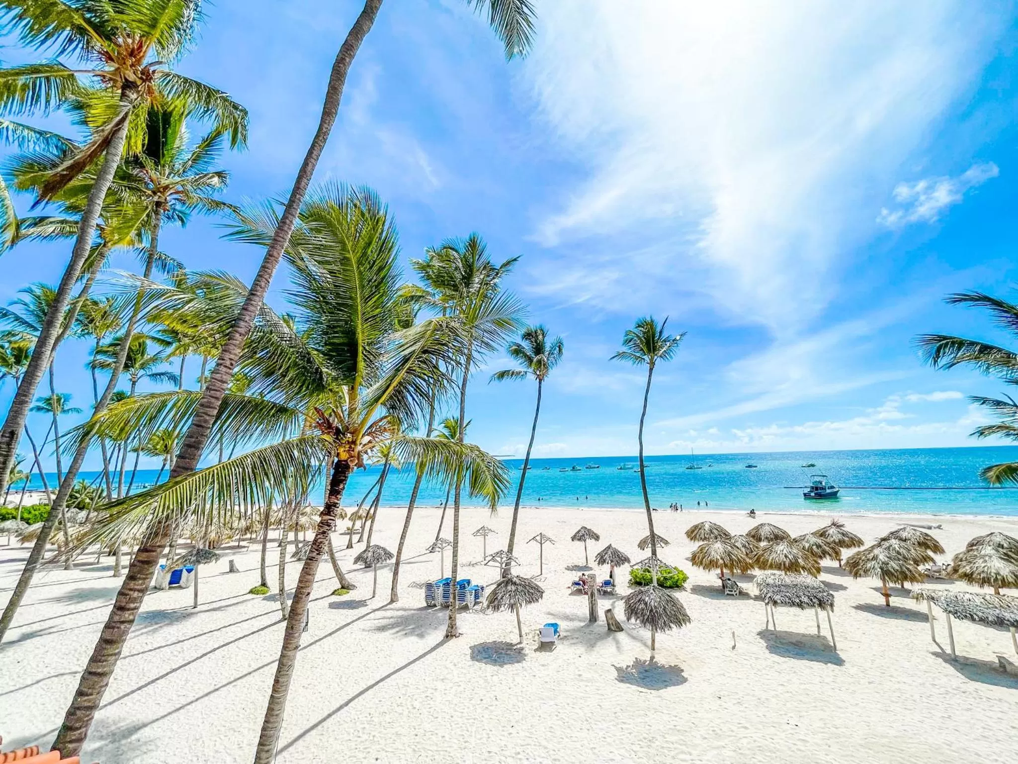 Beach in HOTEL Beach VILLAS Los Corales WIFI & BBQ BEACH CLUB