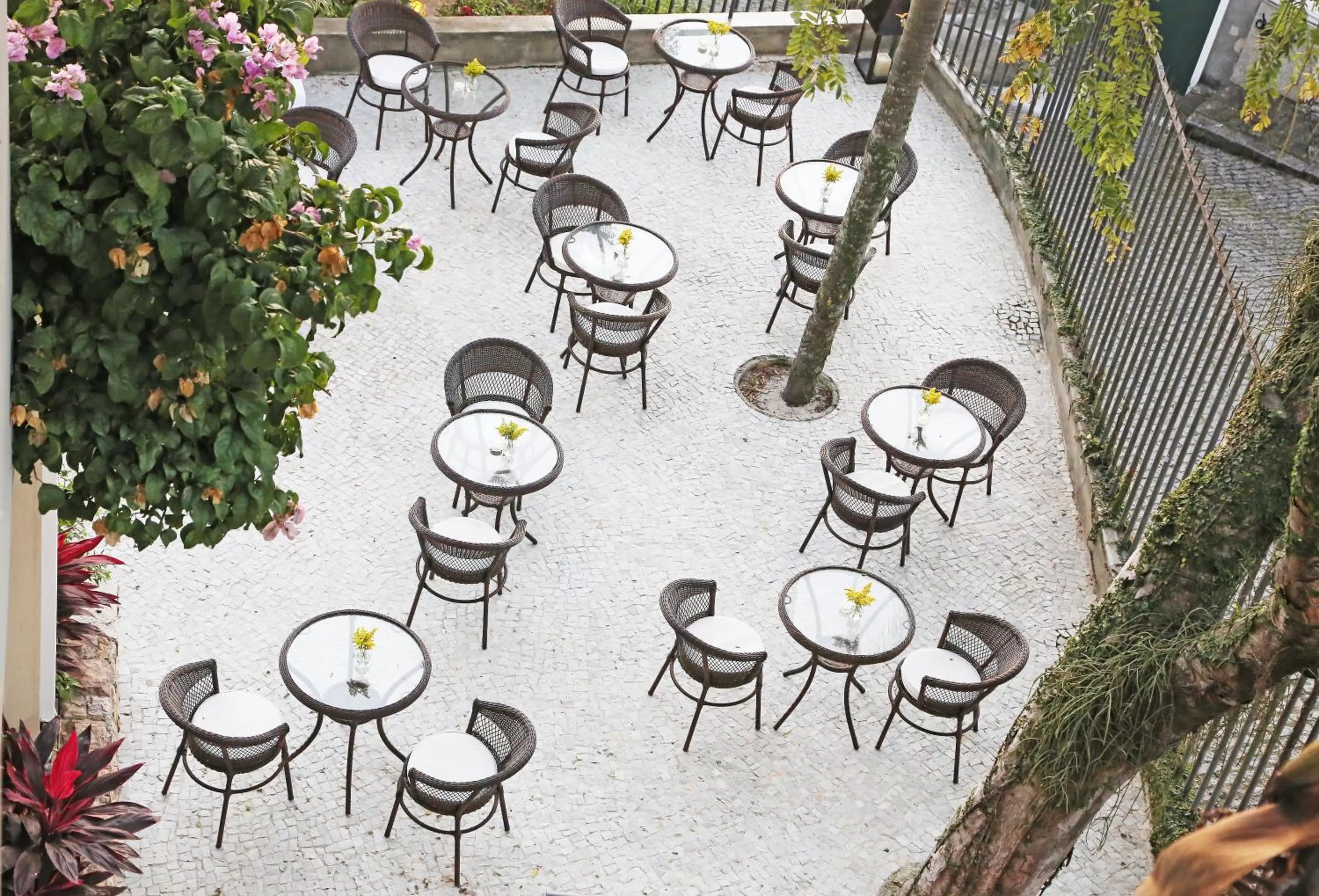 Banquet/Function facilities, Restaurant/Places to Eat in Sant' Martre