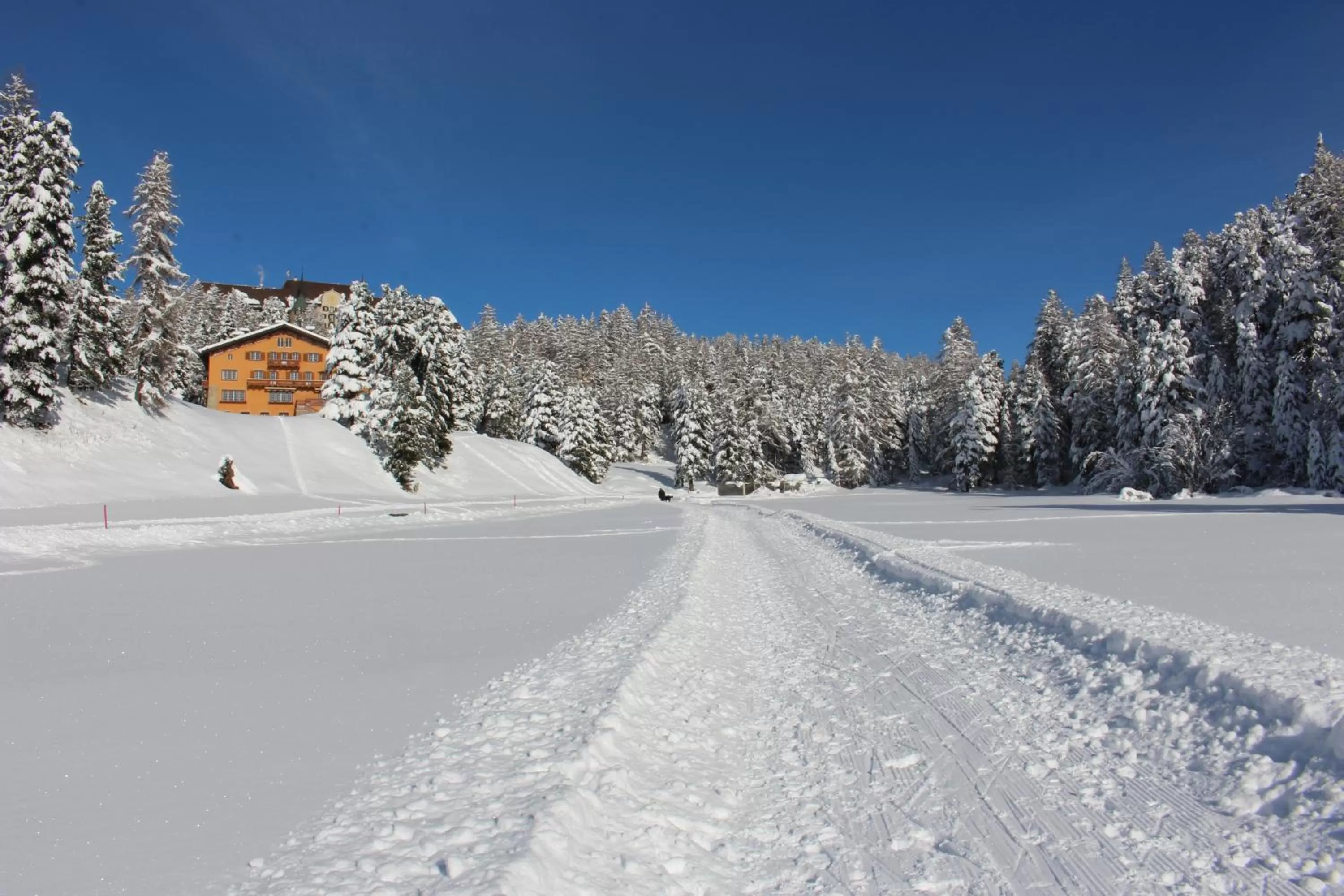 Winter in Hotel Chesa Spuondas