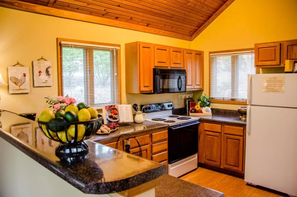 Kitchen or kitchenette in Asheville Cabins of Willow Winds