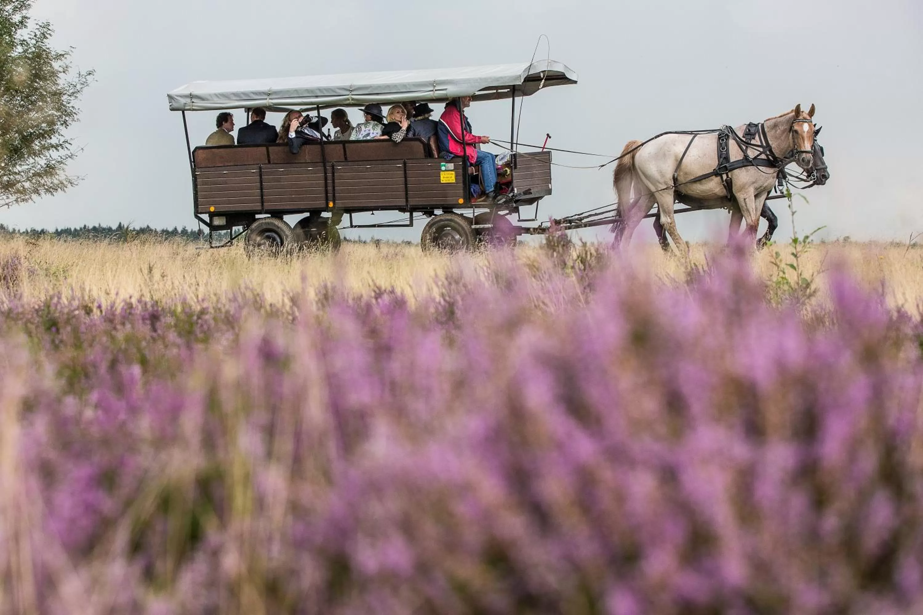 Other in Hotel Hof Sudermühlen
