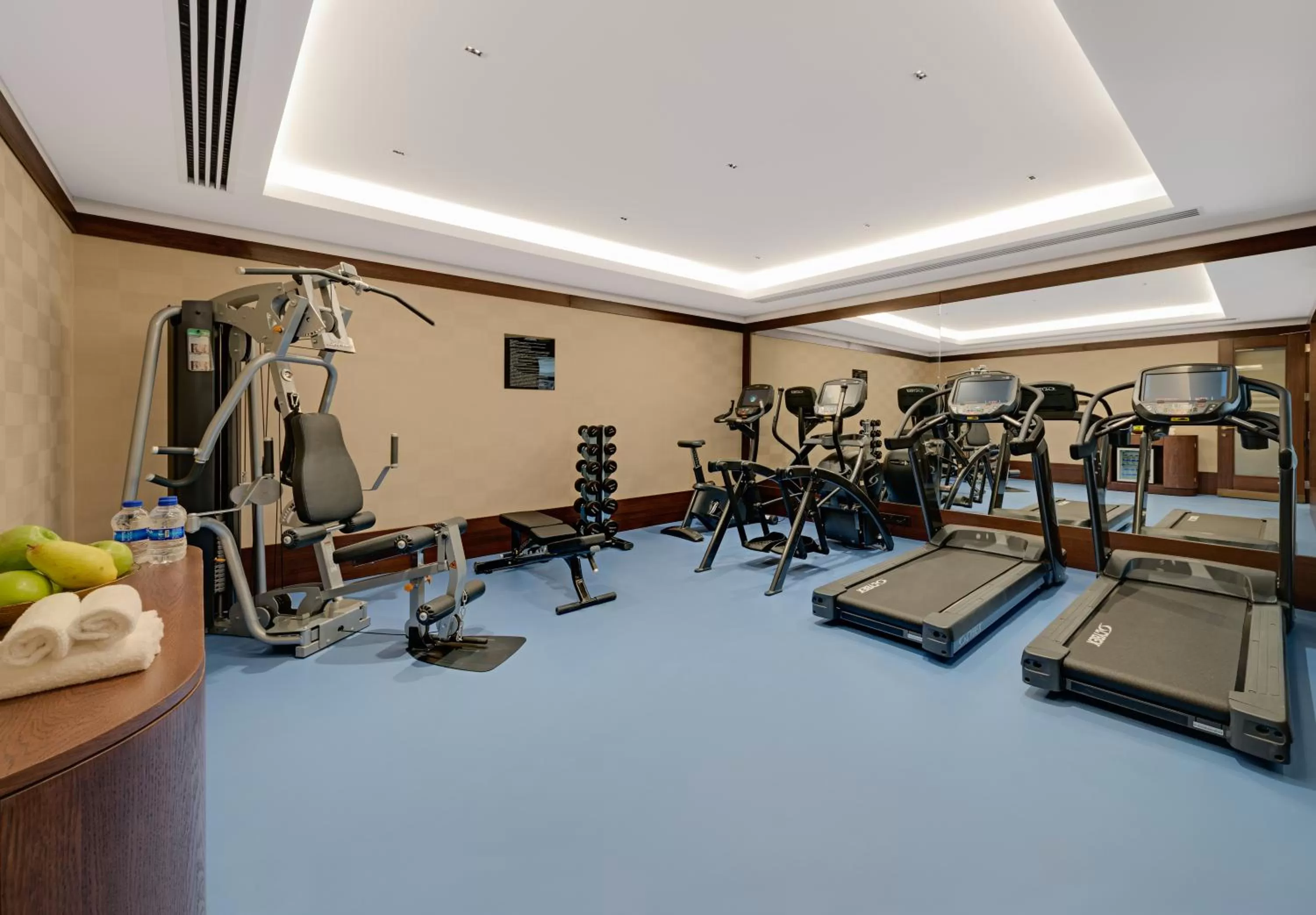 Fitness centre/facilities in The Galata Hotel Istanbul - MGallery Collection