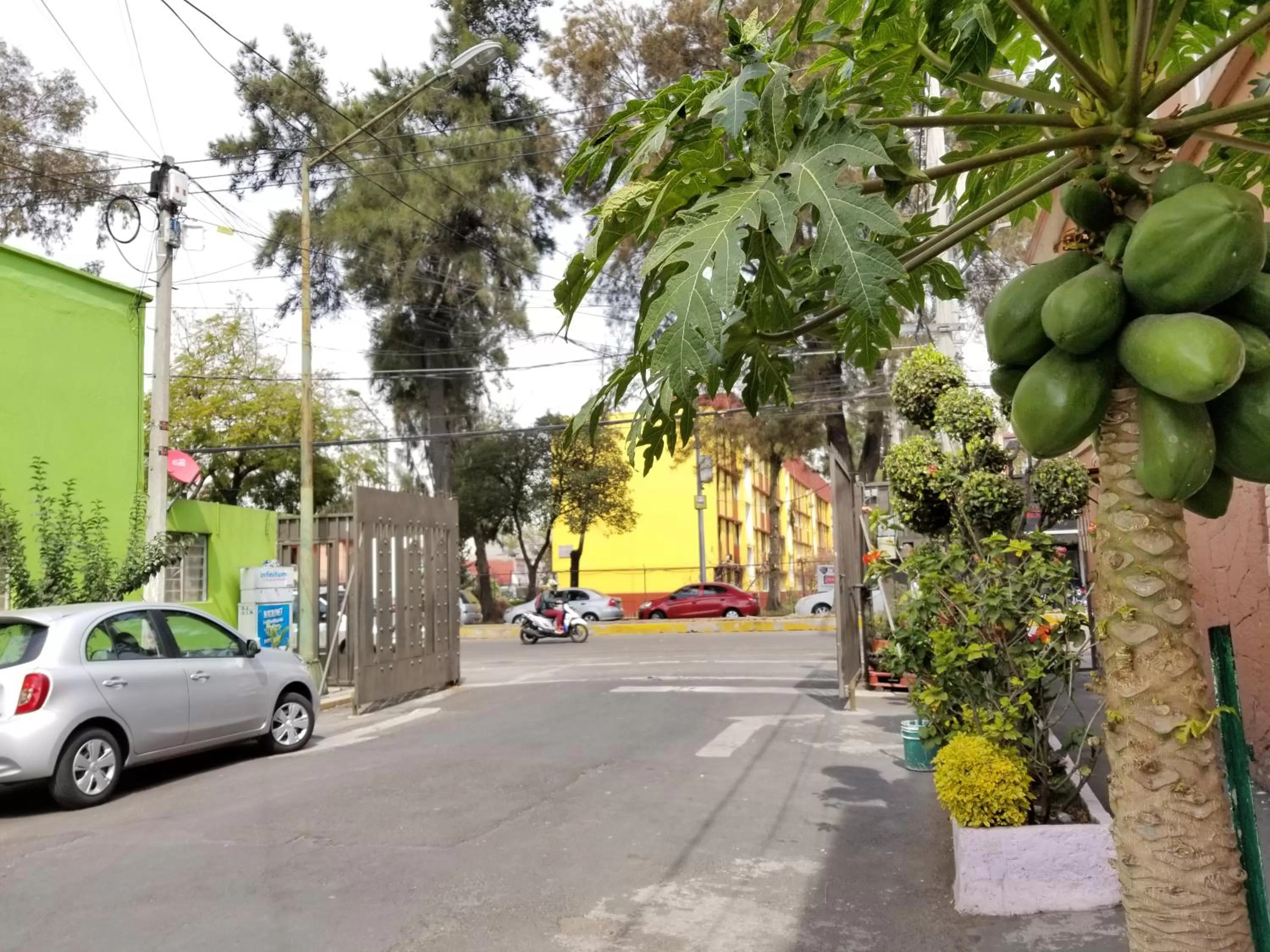 Neighbourhood in Casa Q BnB