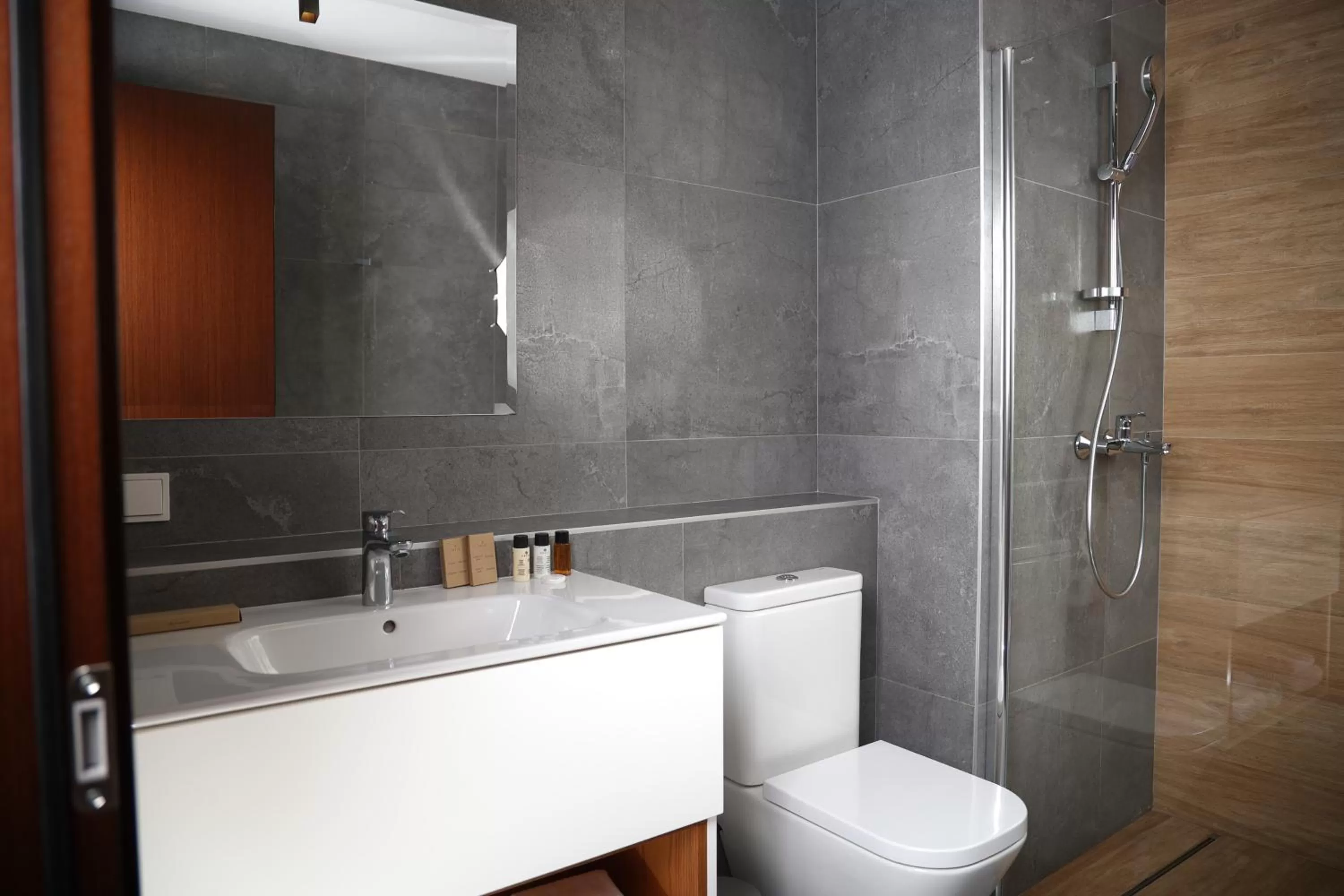 Toilet in Theory Hotel