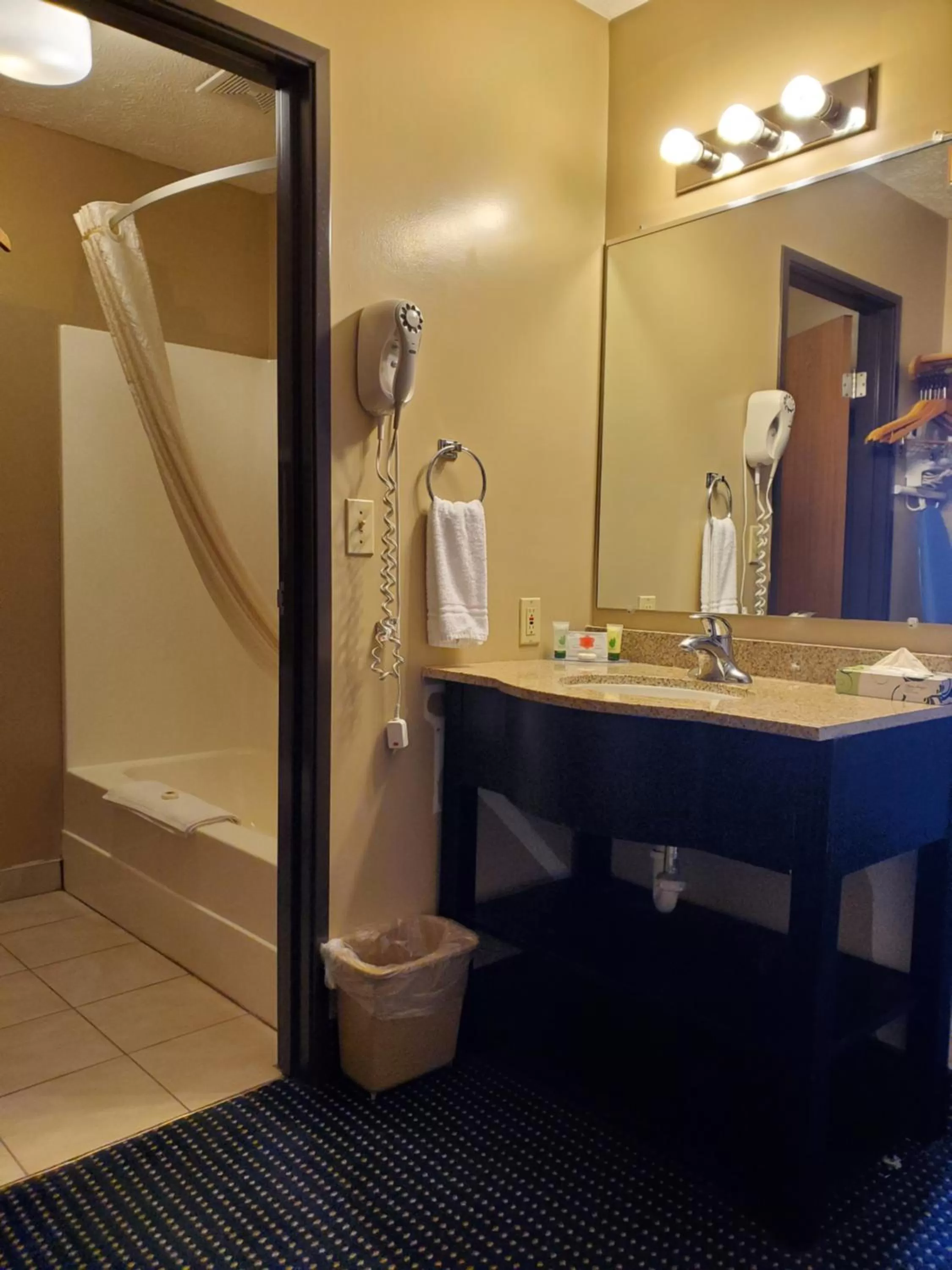 Bathroom in VICTORIAN INN