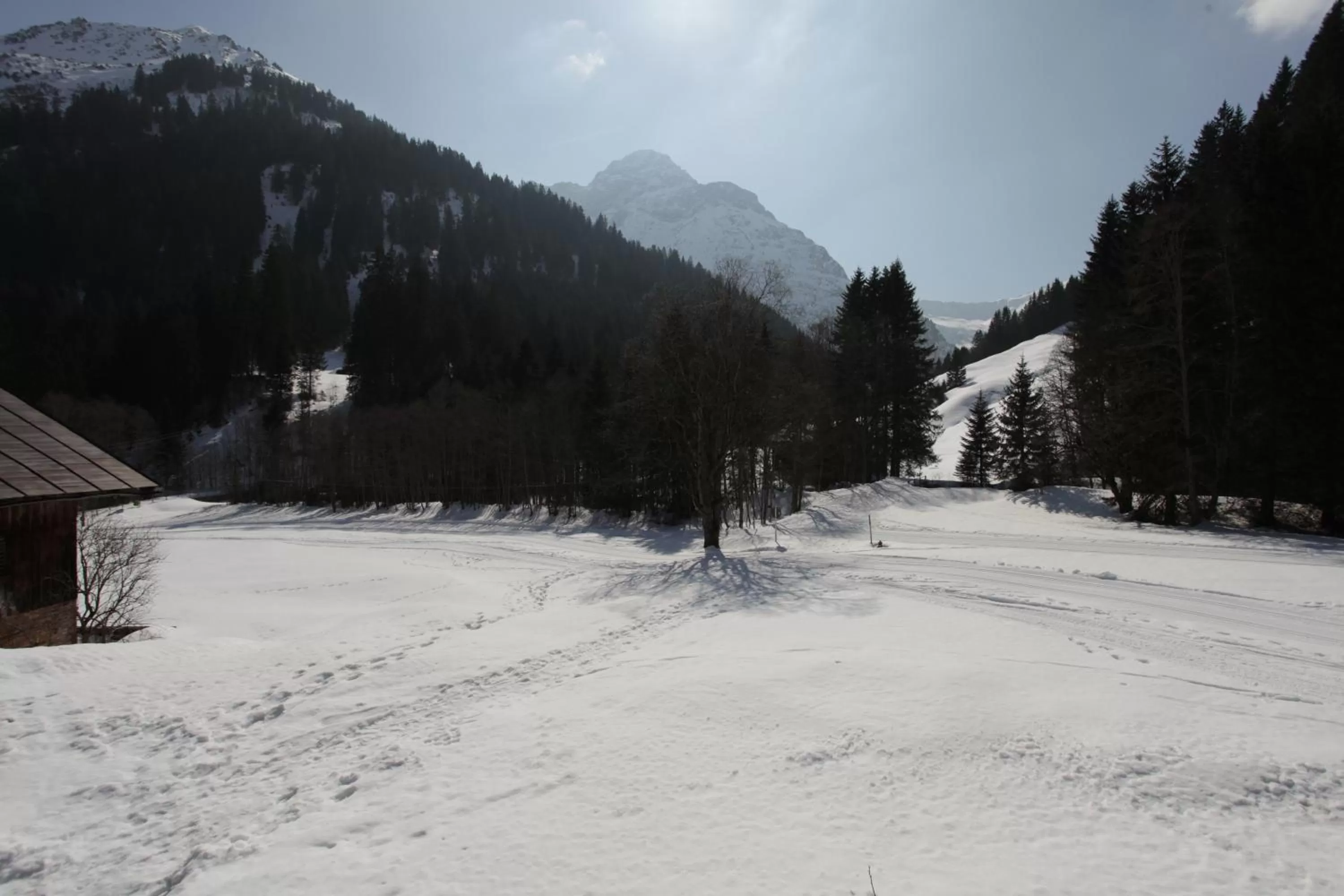Natural landscape in Haus Derra
