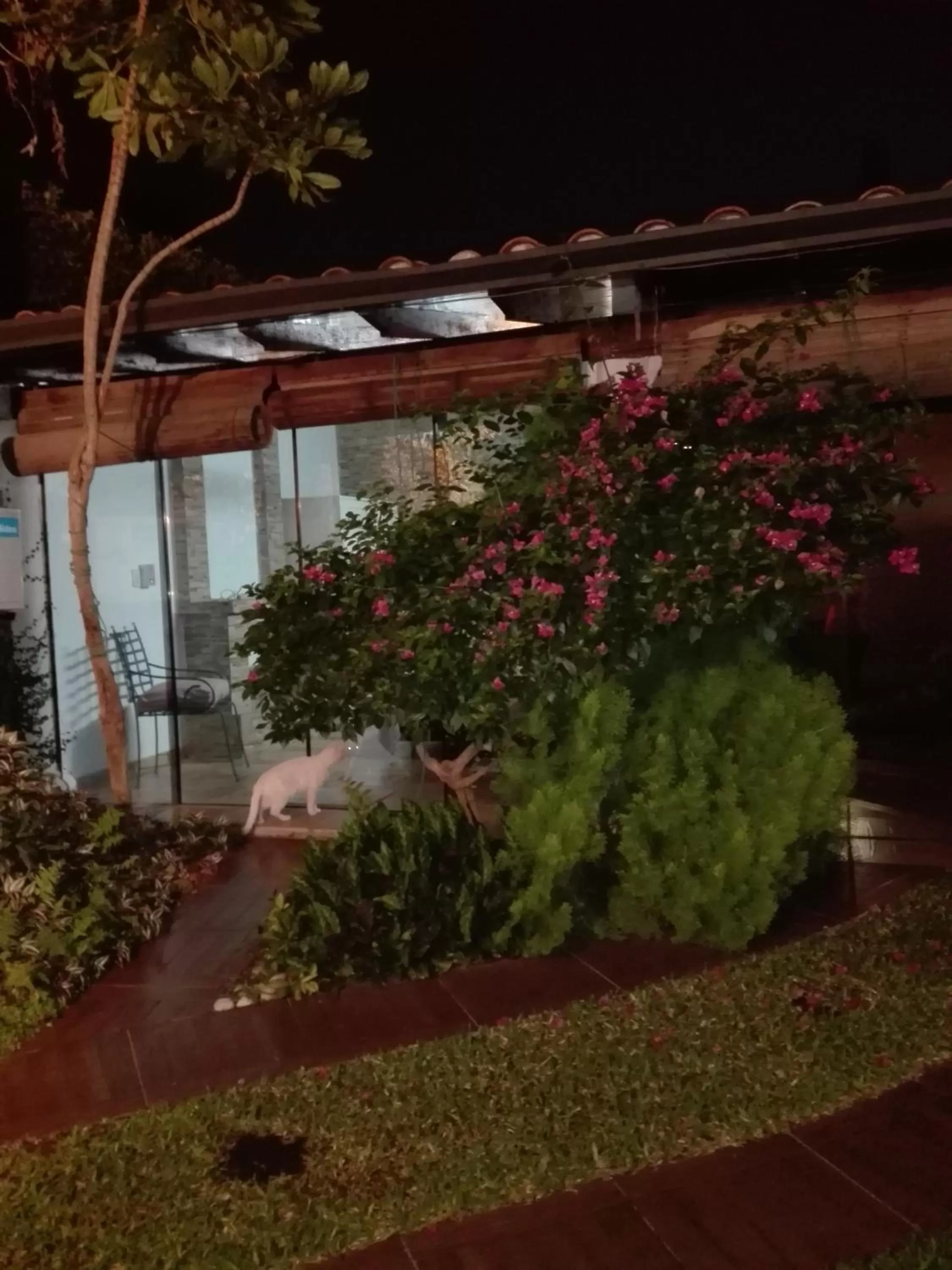 Garden in Granados B&B