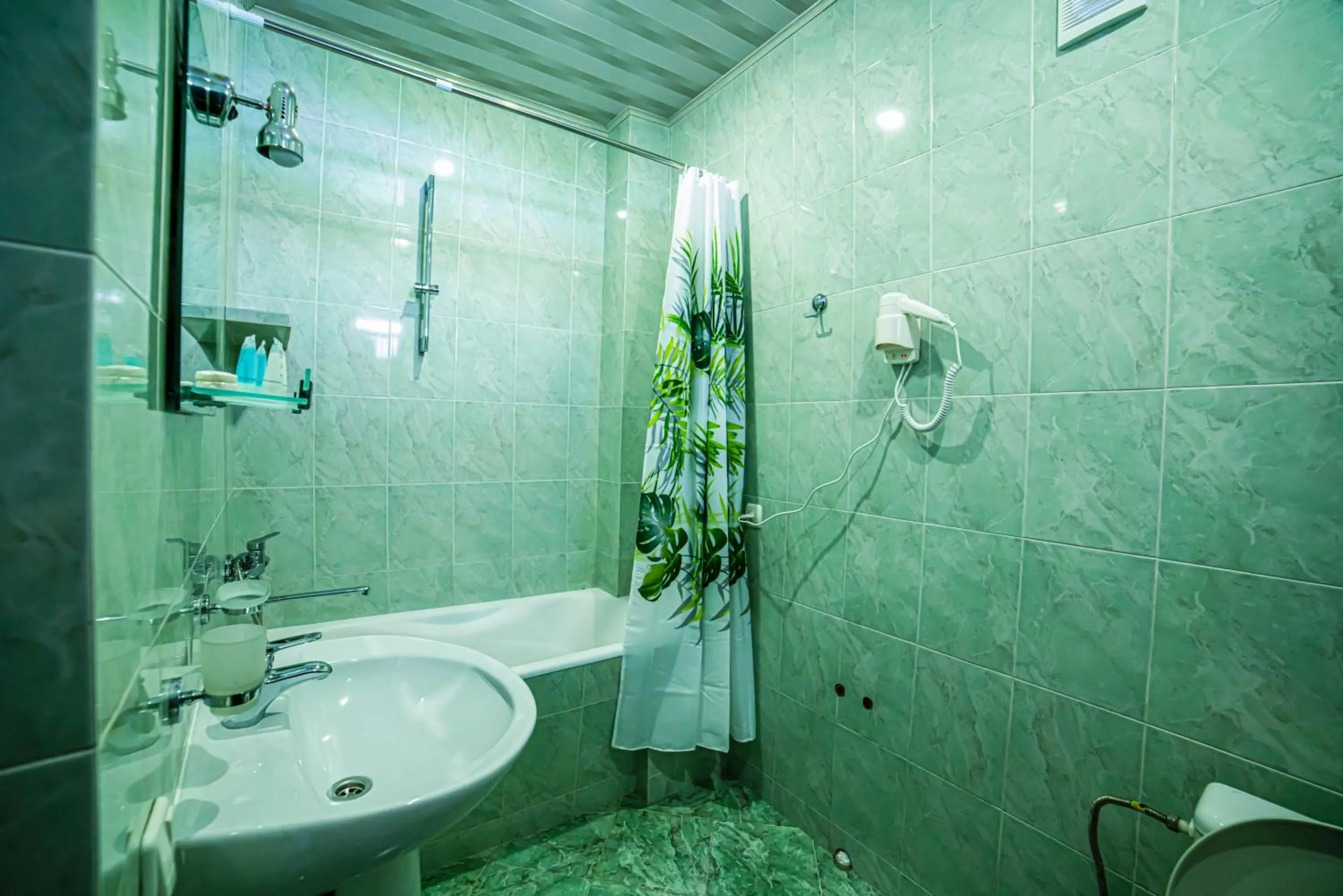 Toilet, Bathroom in Midtown-Vera