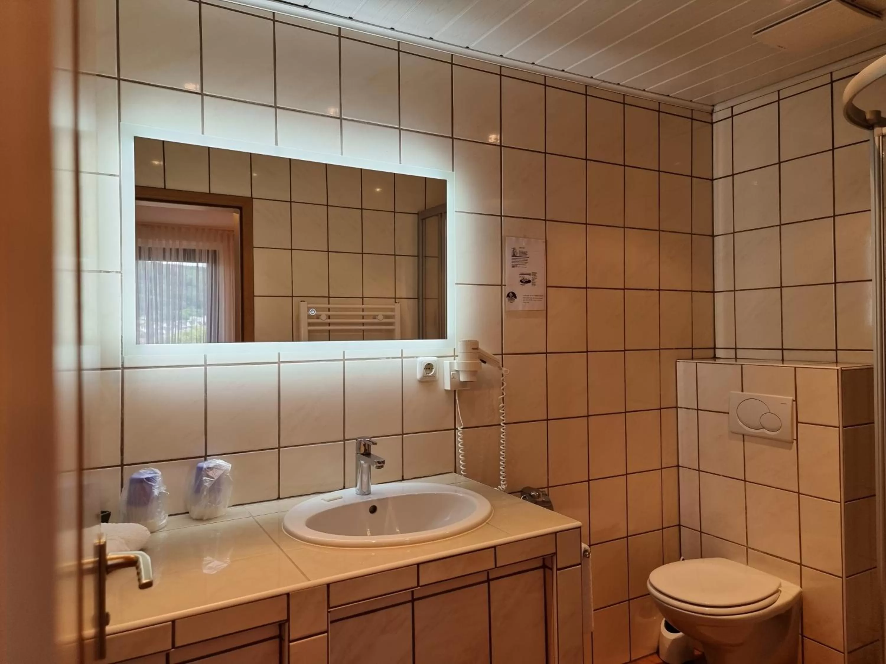 Bathroom in Sonnenhof