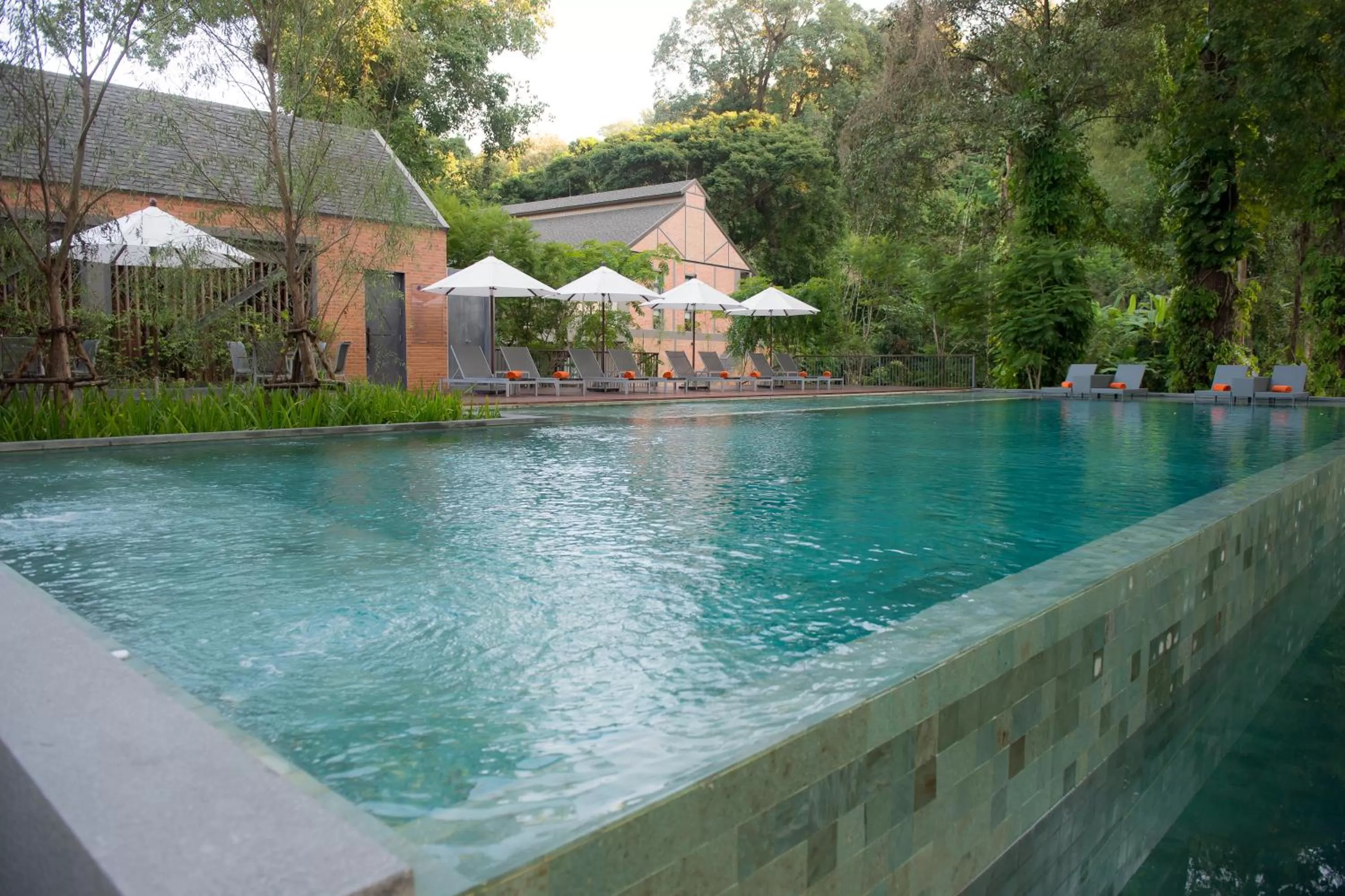 Swimming pool in Flora Creek Chiang Mai