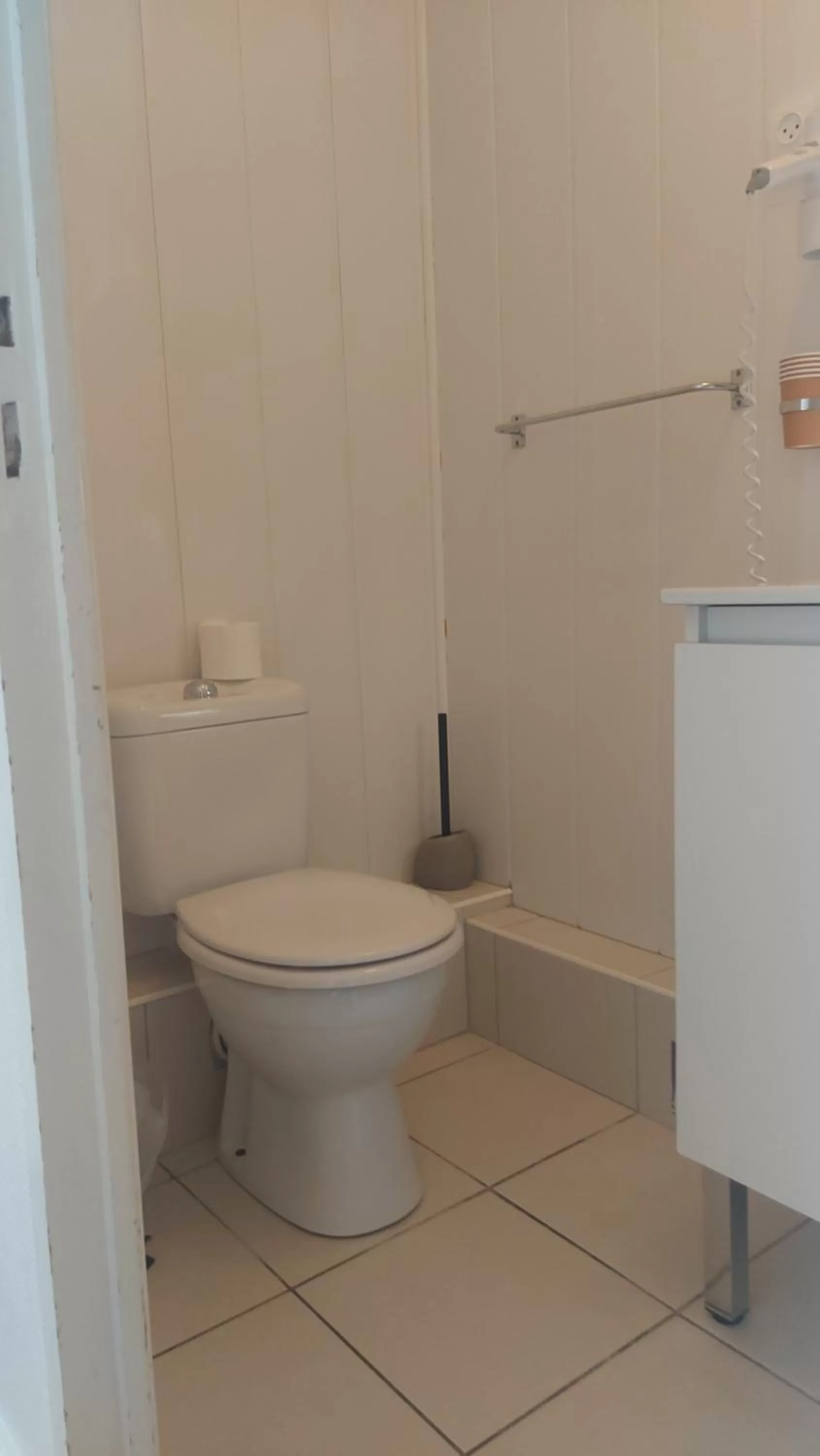 Toilet, Bathroom in Hôtel & Restaurant Le Patio VICHY