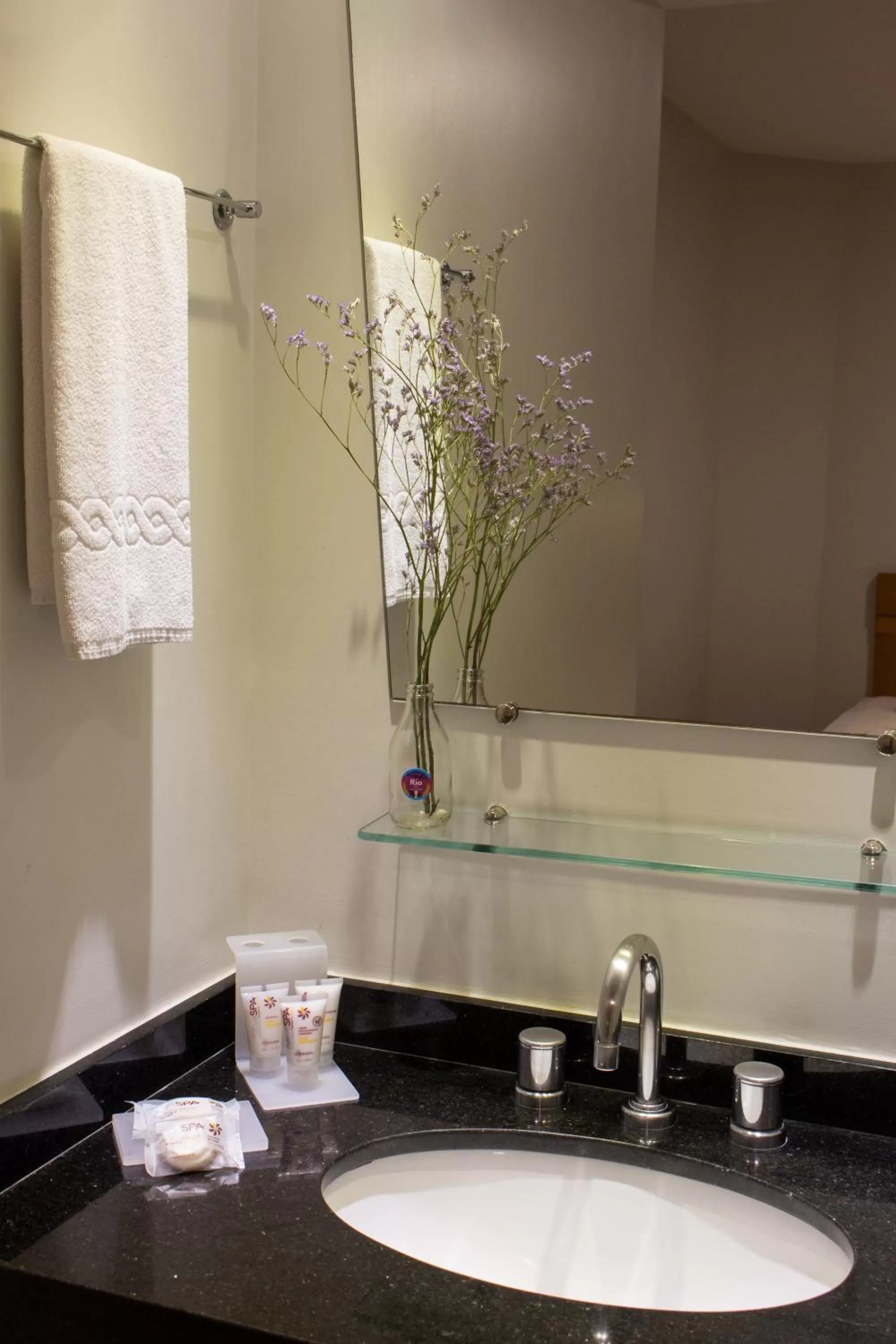 Bathroom in Rio Hotel by Bourbon Curitiba