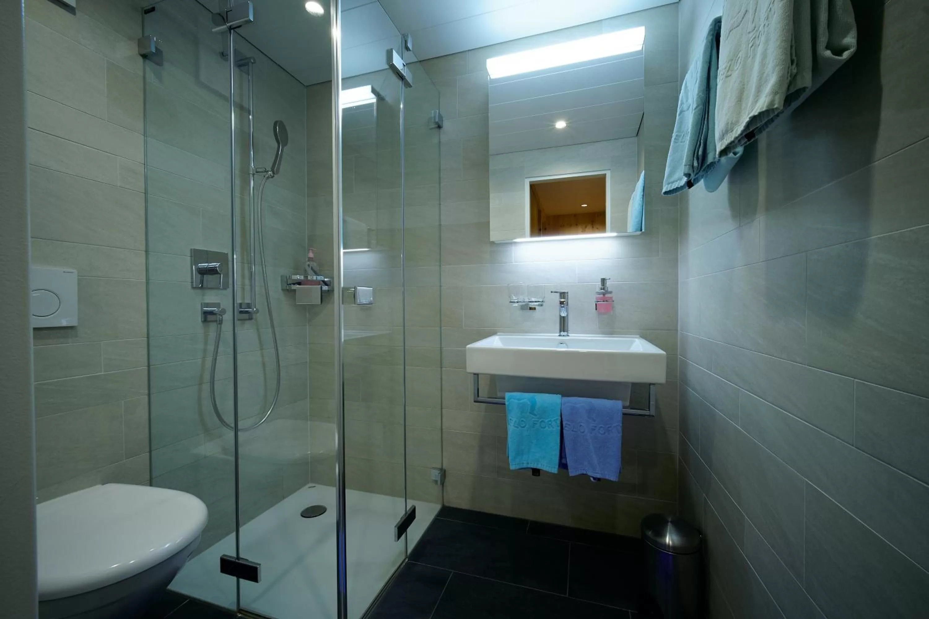 Bathroom in Garni Alpenrose - Grusaida