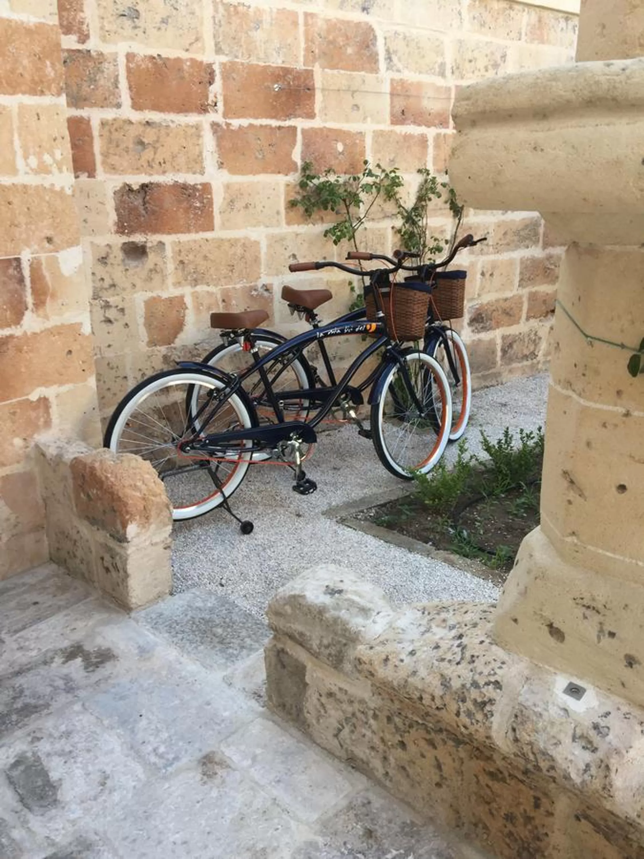 Garden in Sine Tempore B&B
