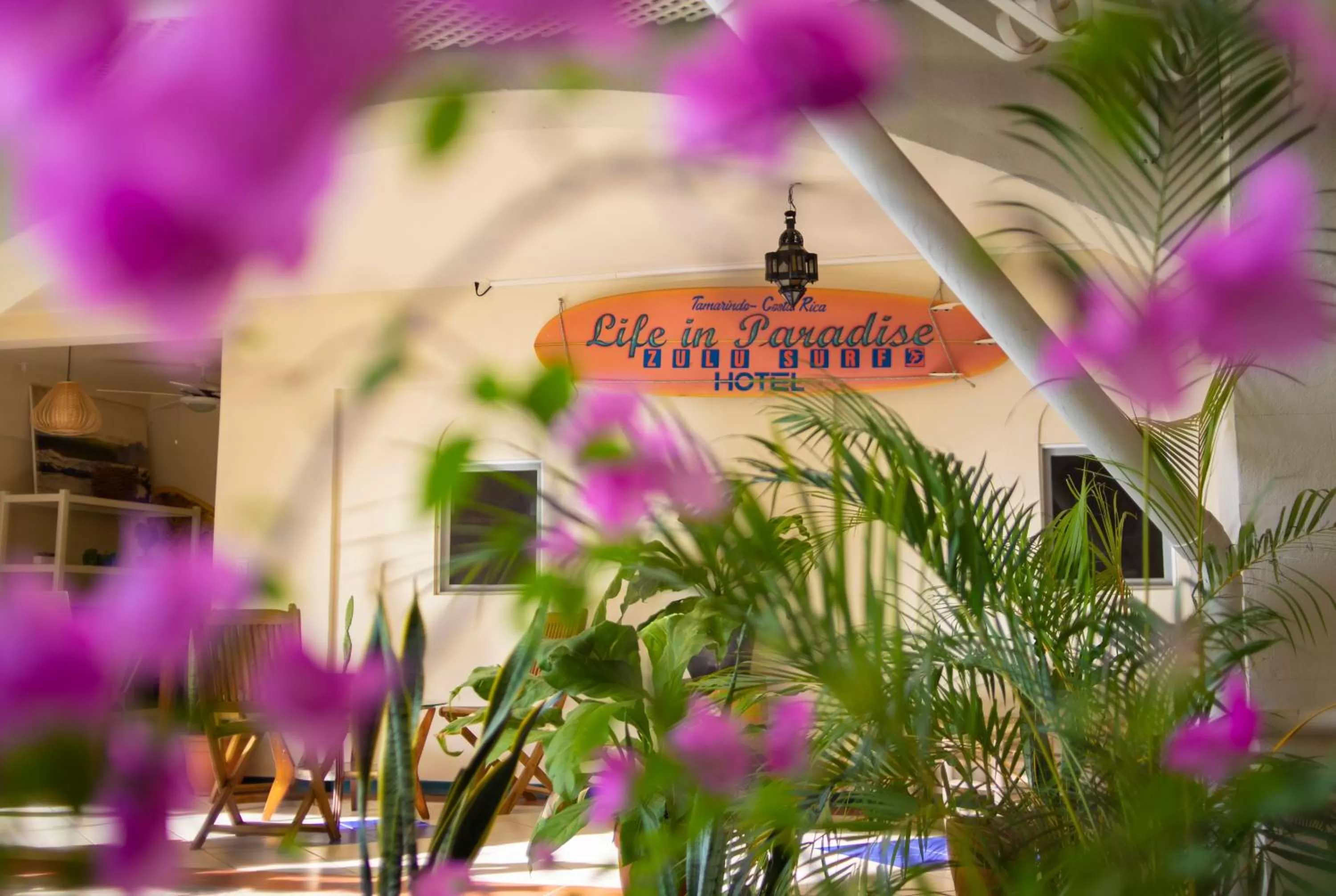 Lobby or reception in Zulu Surf Hotel Tamarindo