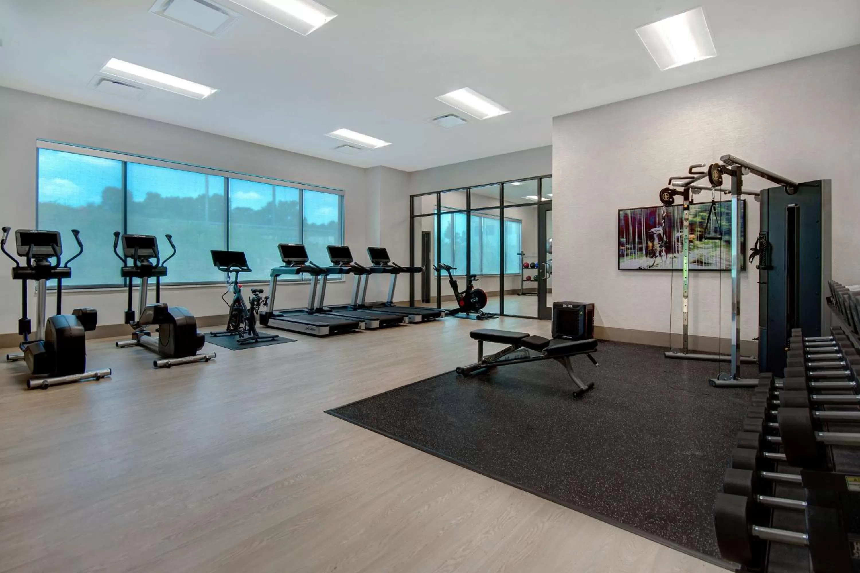 Fitness centre/facilities in Embassy Suites By Hilton Alpharetta Halcyon