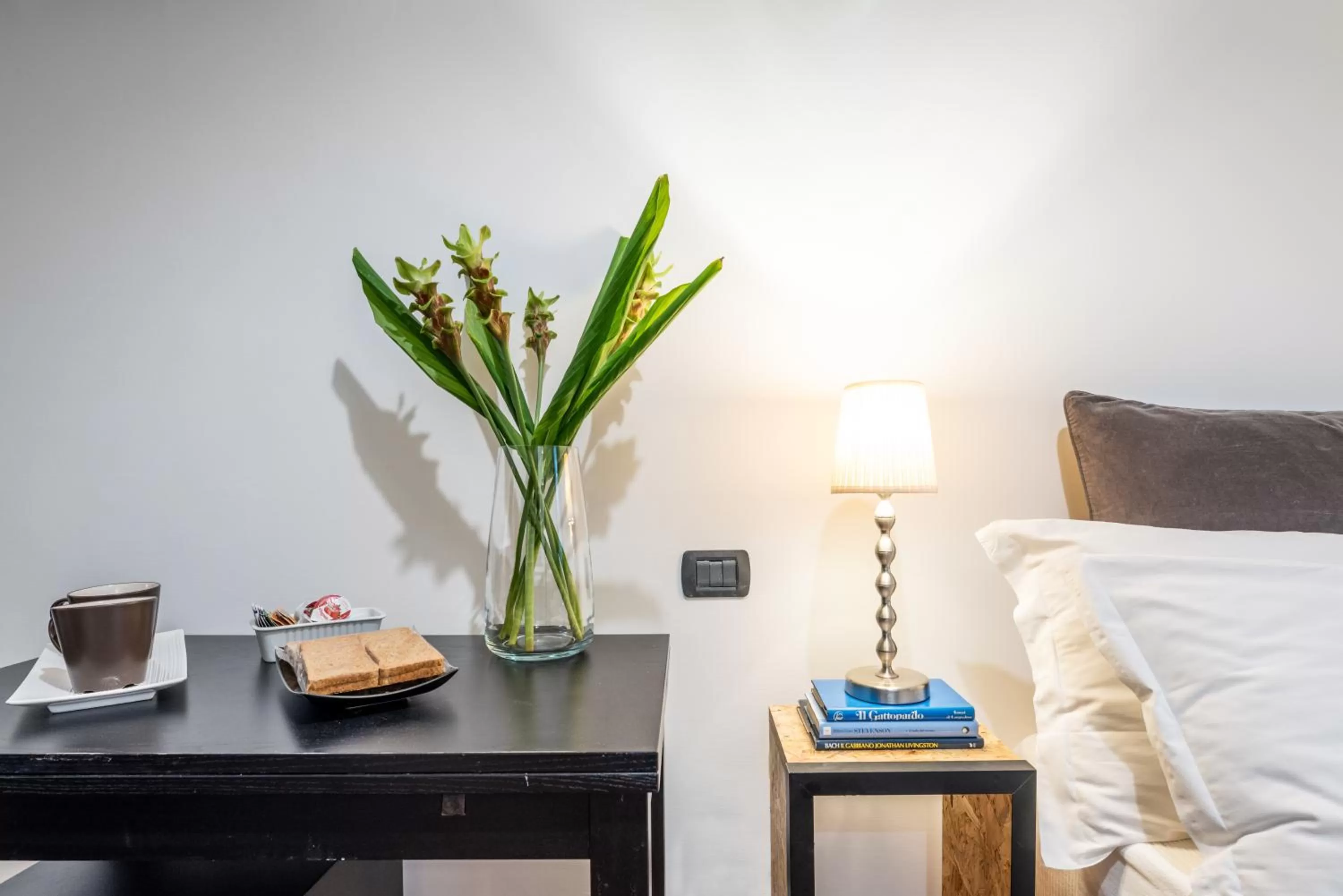 Suite 36 - NEW OPENING