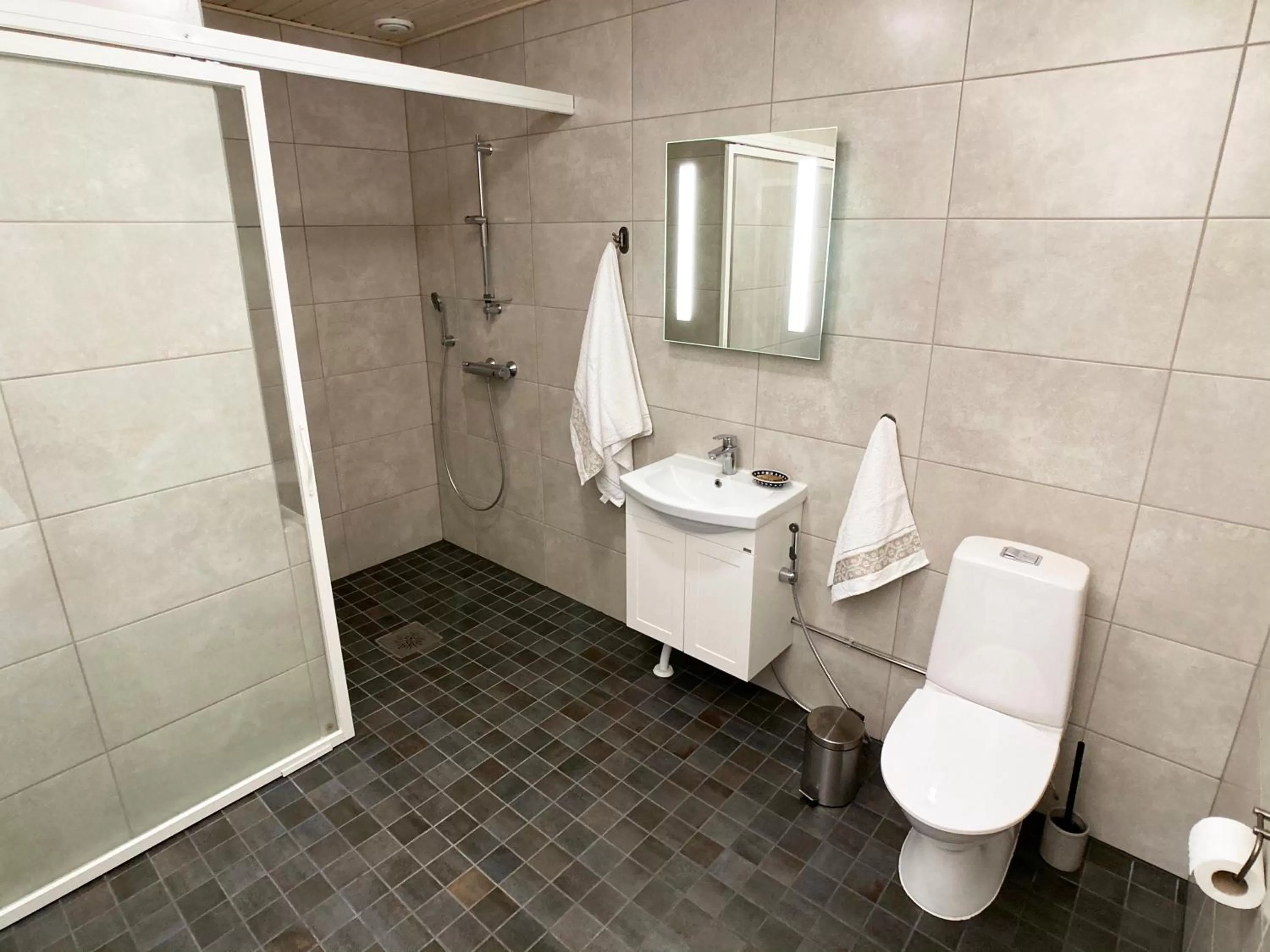 Toilet in Olo Center by Kolovesi National Park