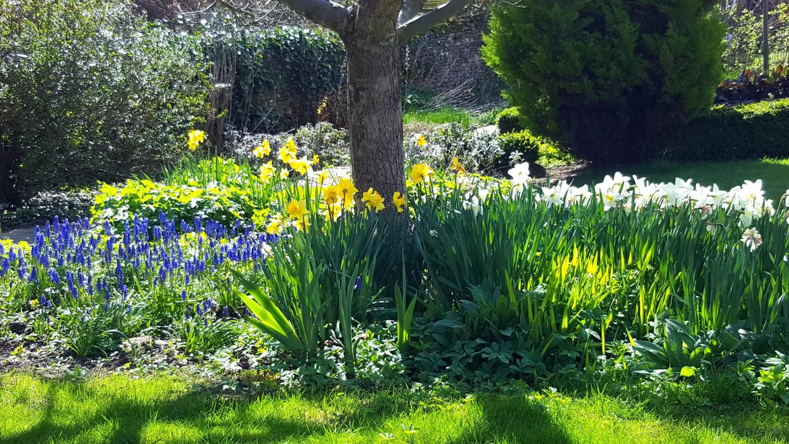 Garden in Horse and Groom