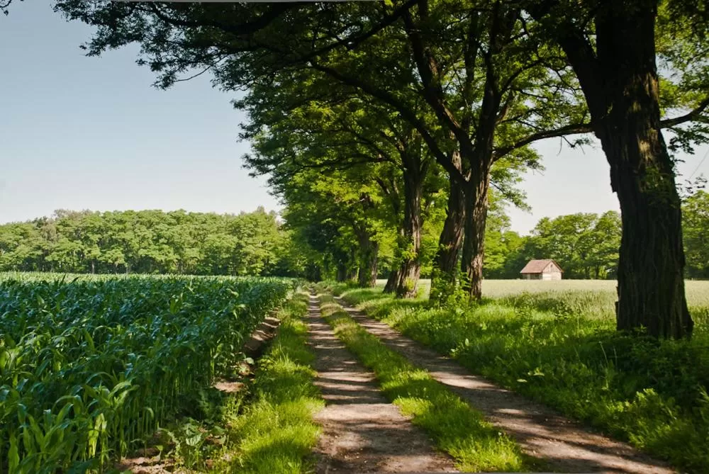 Neighbourhood, Garden in Gospoda Pazibroda