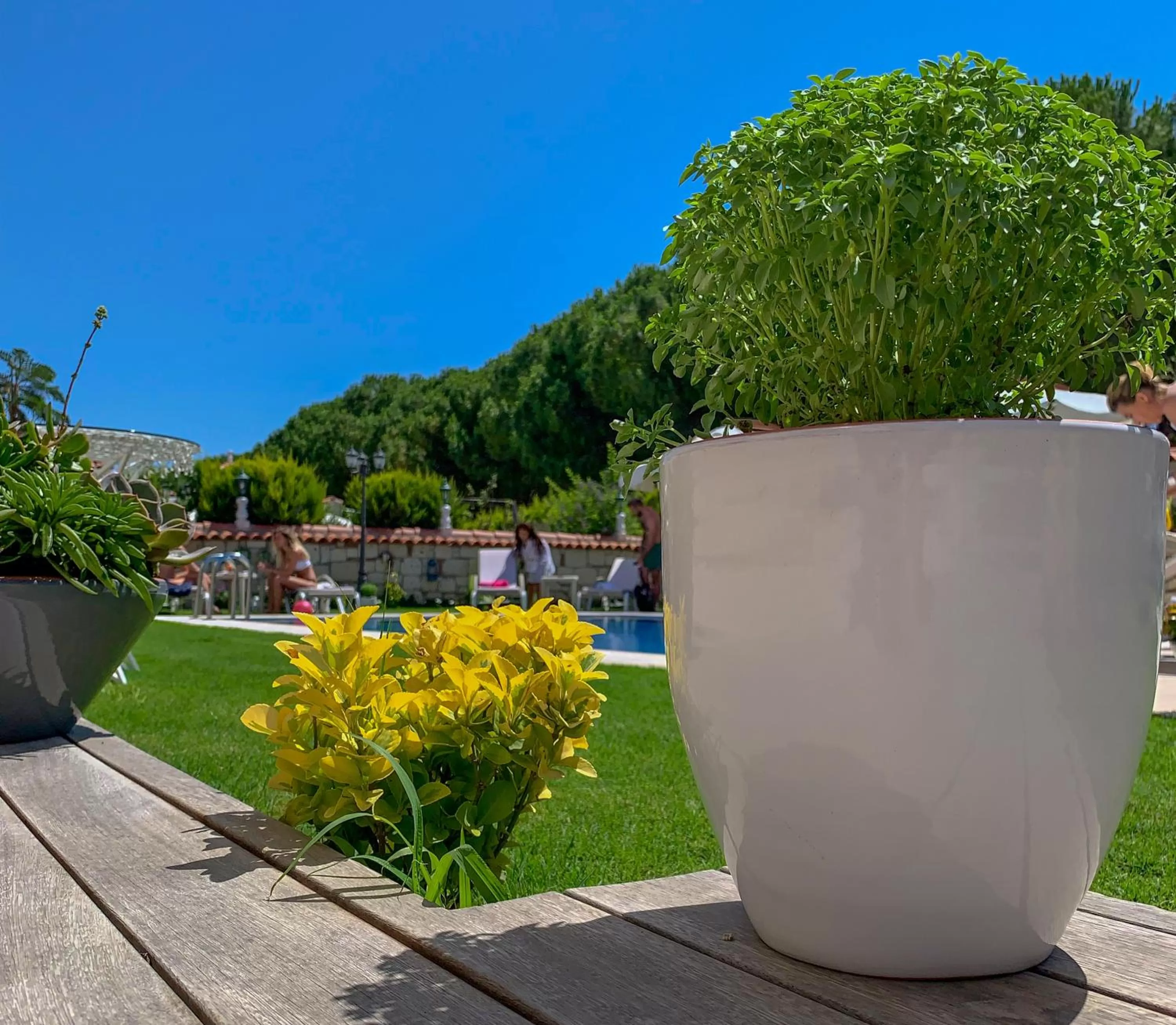 Spring in Salbakos Herakleia Hotel