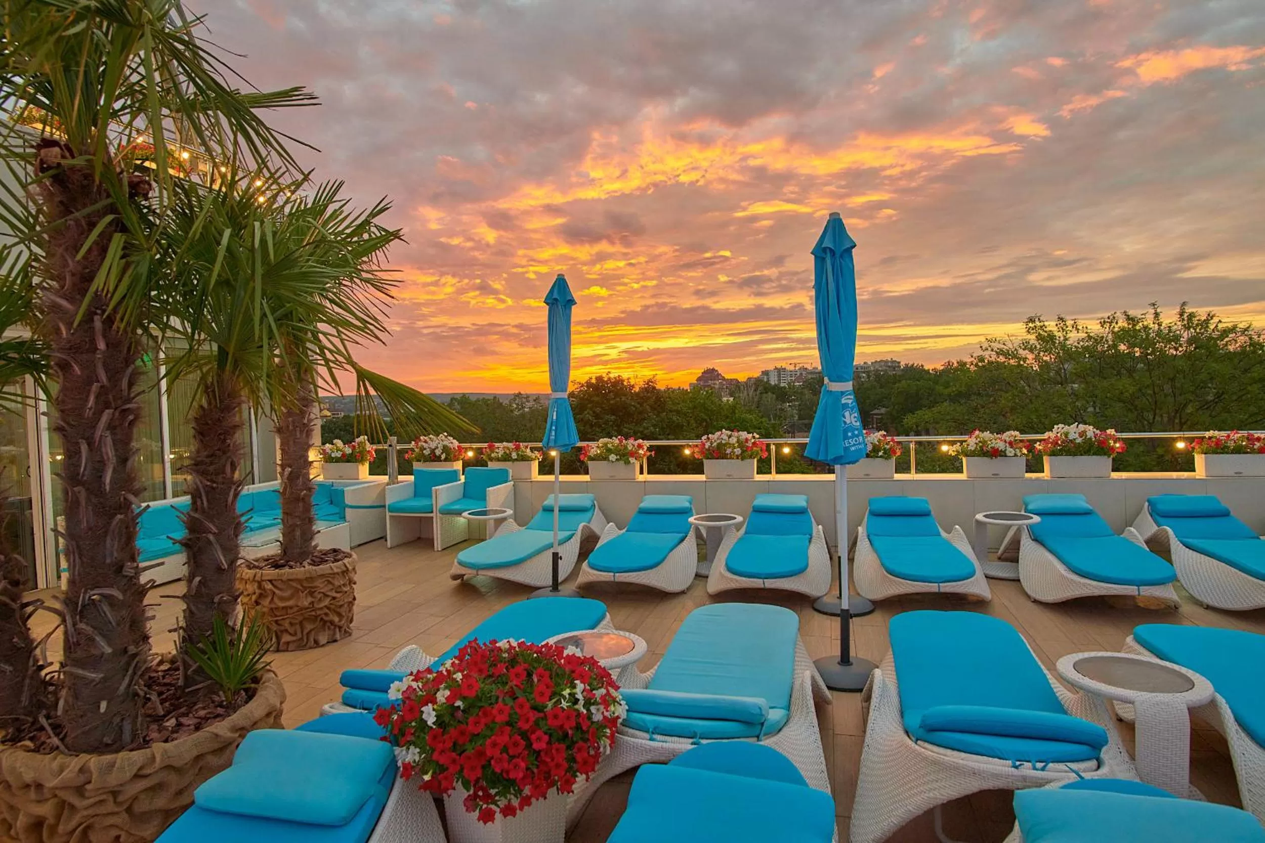 On site in Hotel & Spa NEMO with dolphins