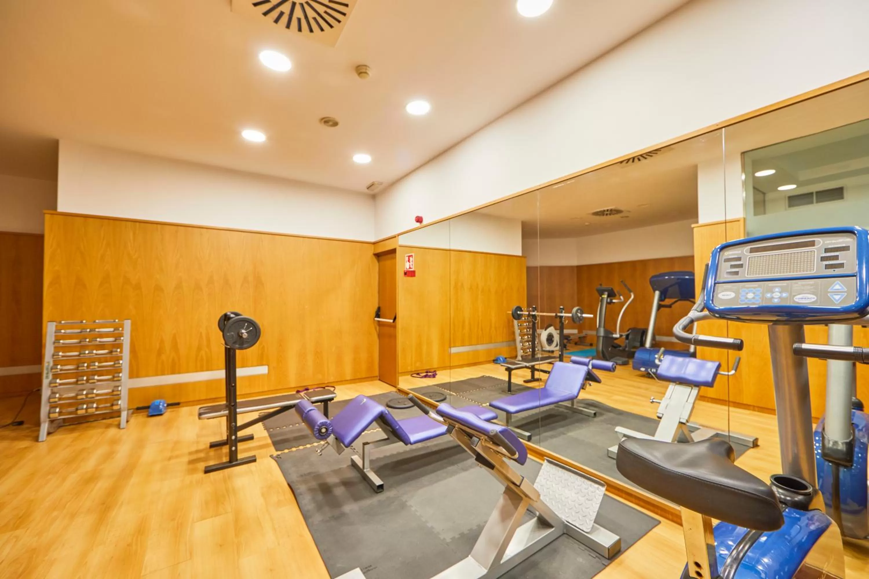 Fitness centre/facilities in Bordoy Continental Palma