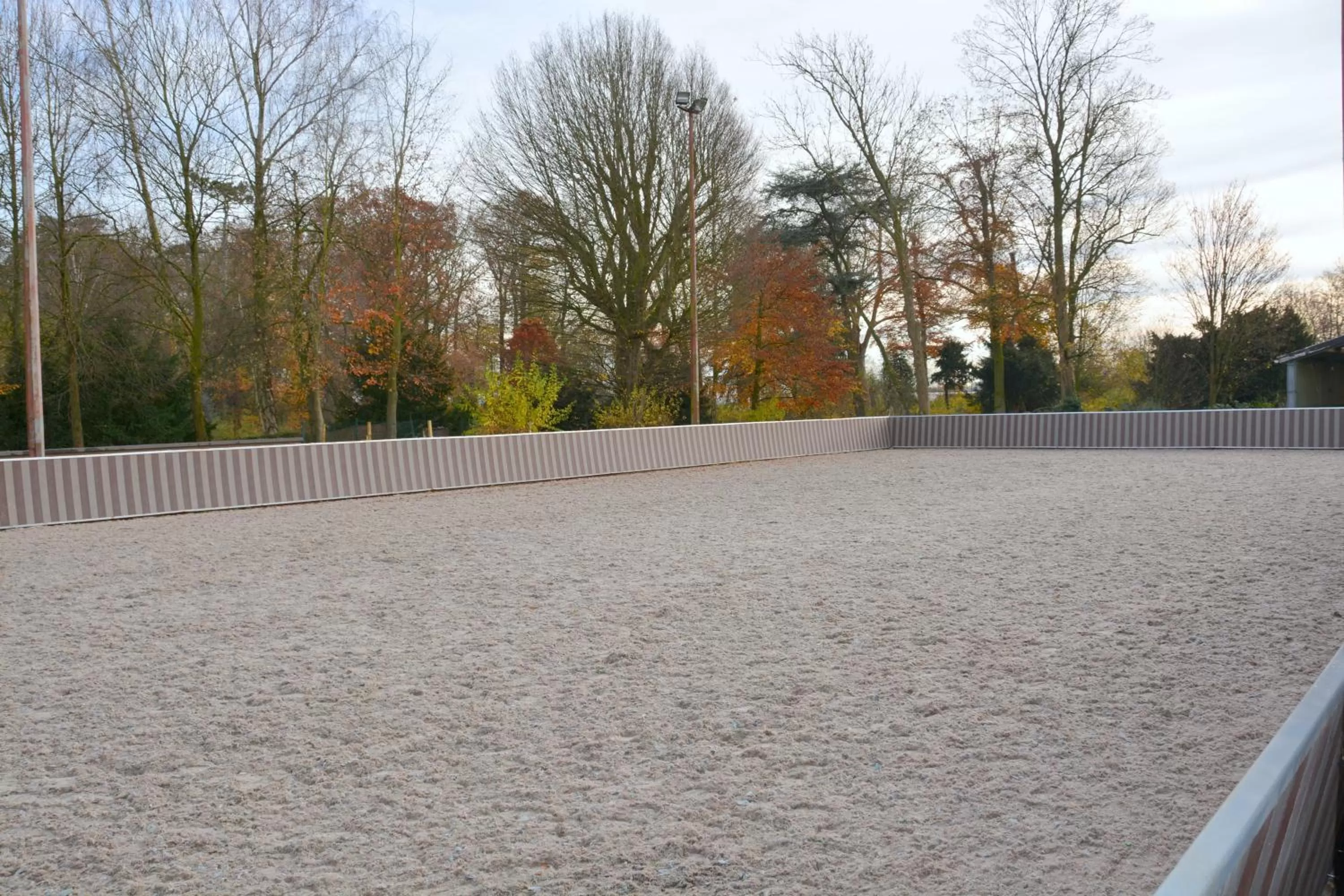 Horse-riding in Haras des Chartreux