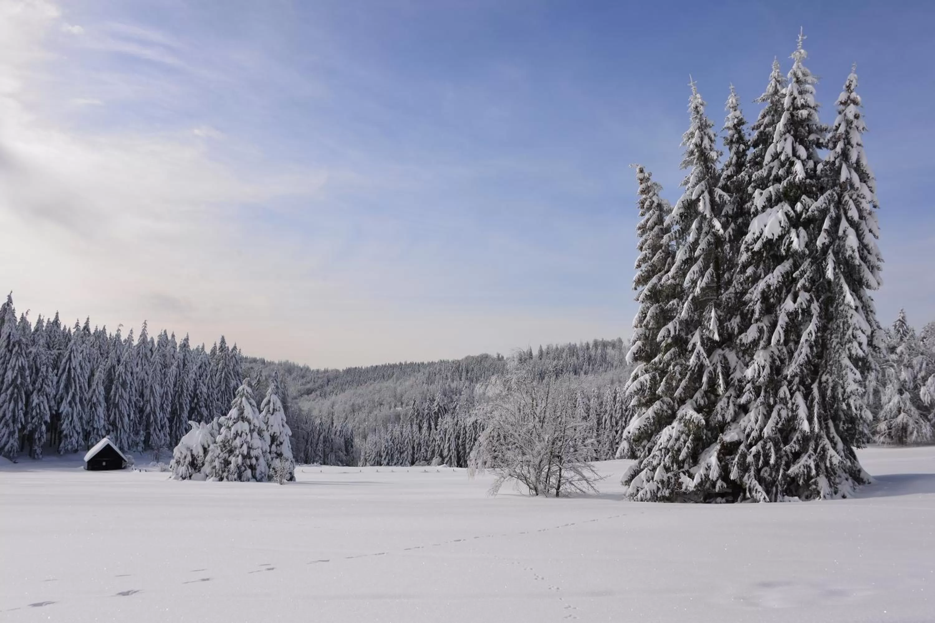 Natural landscape, Winter in RelaxHotel Tannenhof