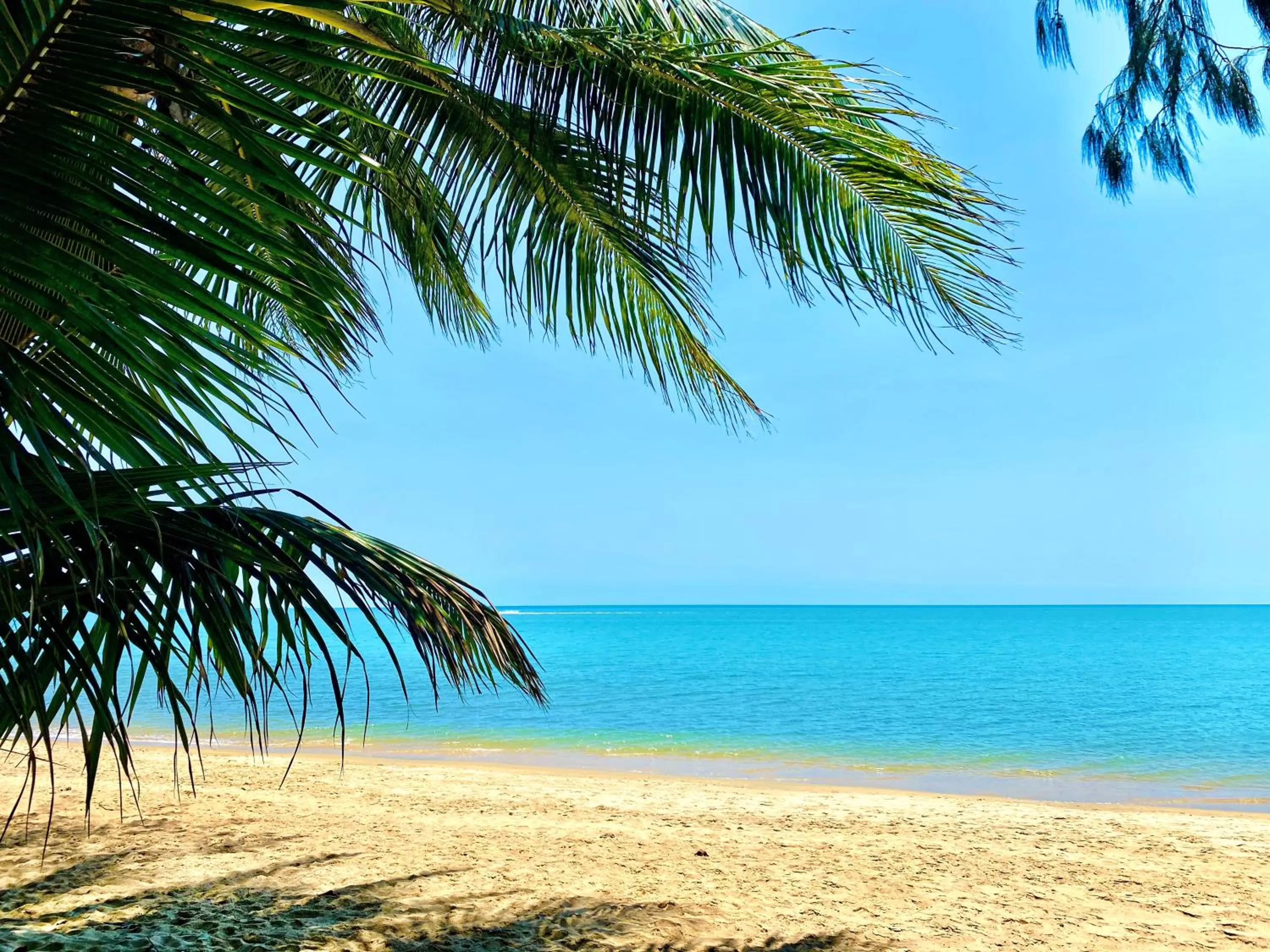 Beach in BeachView Apartments at Villa Paradiso