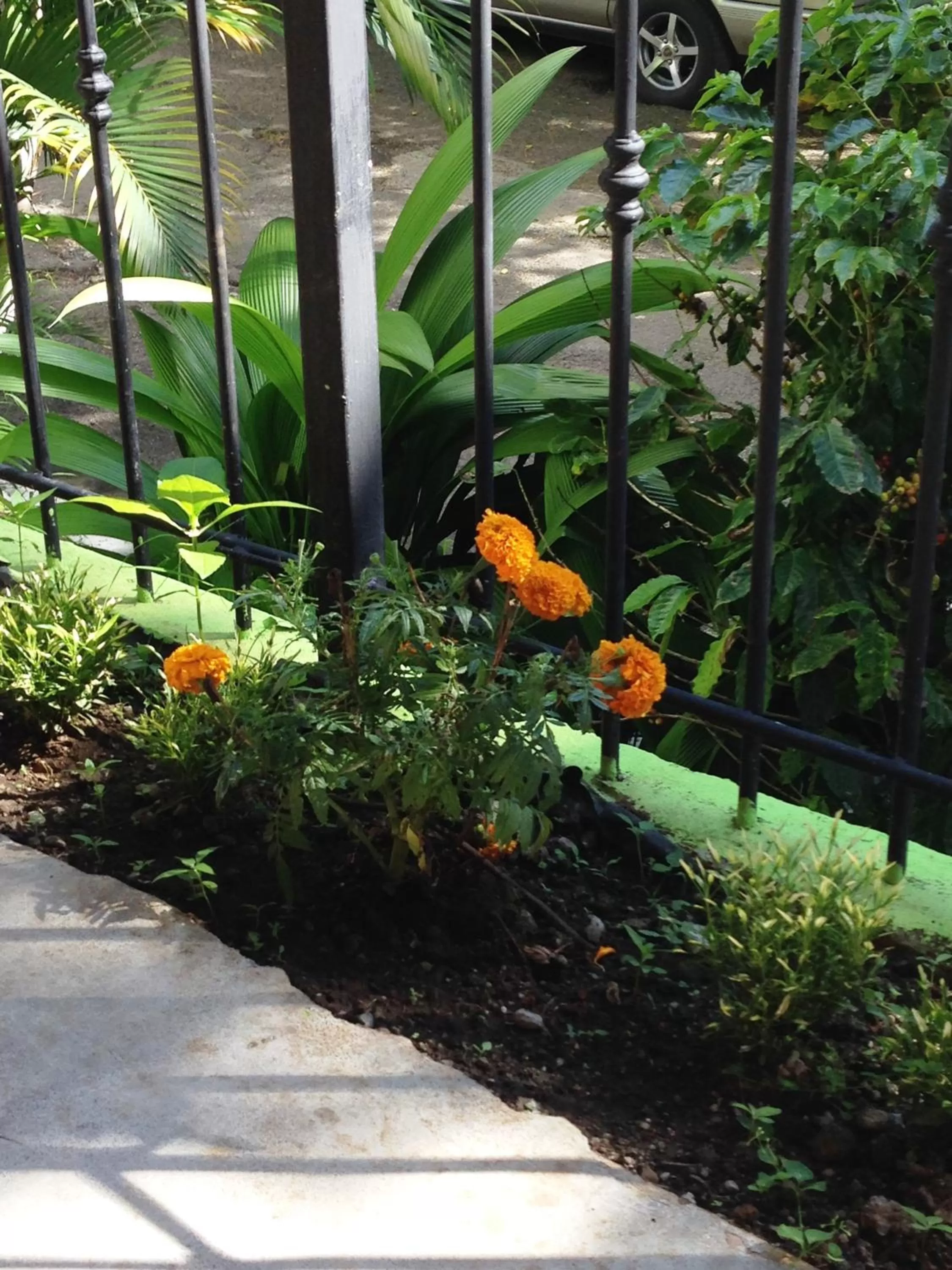 Facade/entrance in Melrost Airport Bed & Breakfast