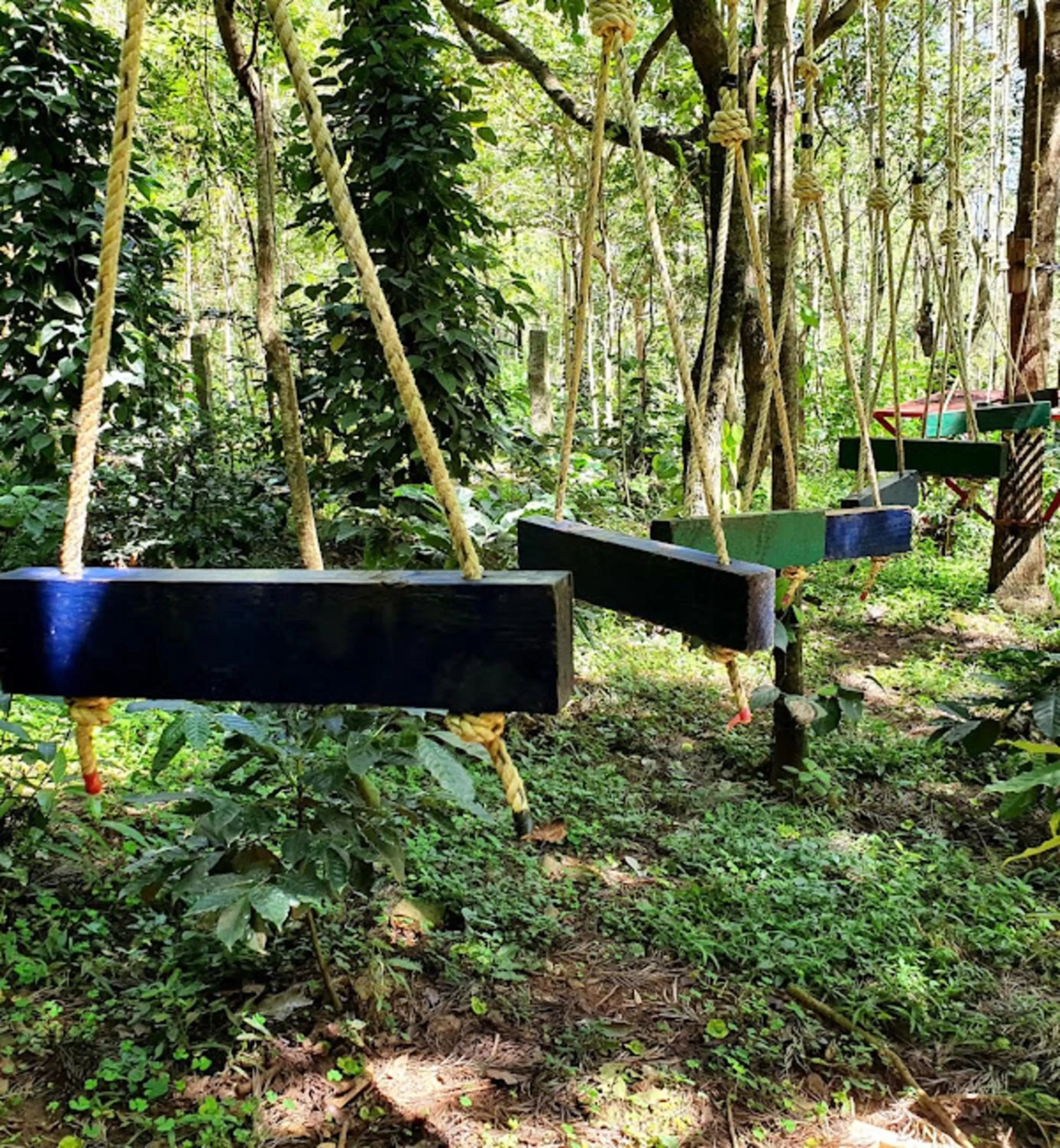 Activities in The Spectrum Resort, Chikmagalur