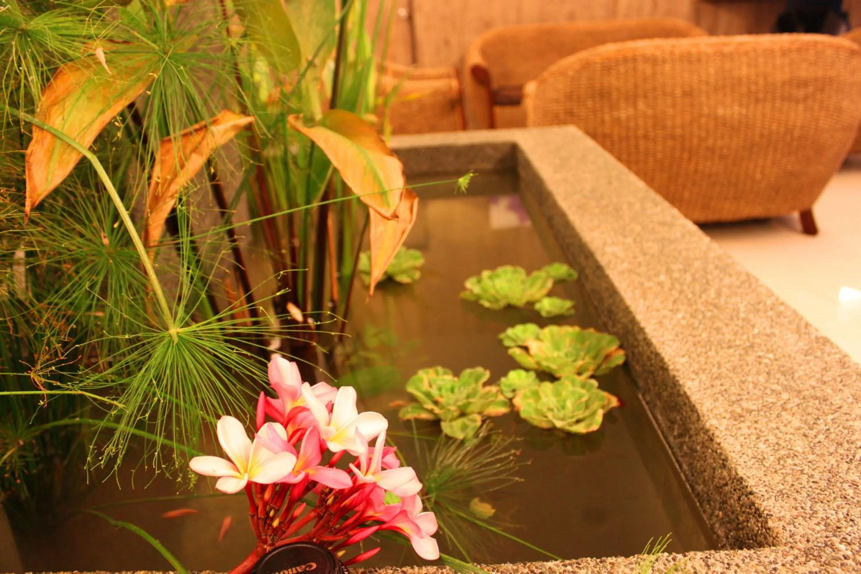 Garden in Hotel Time Boutique Nilai